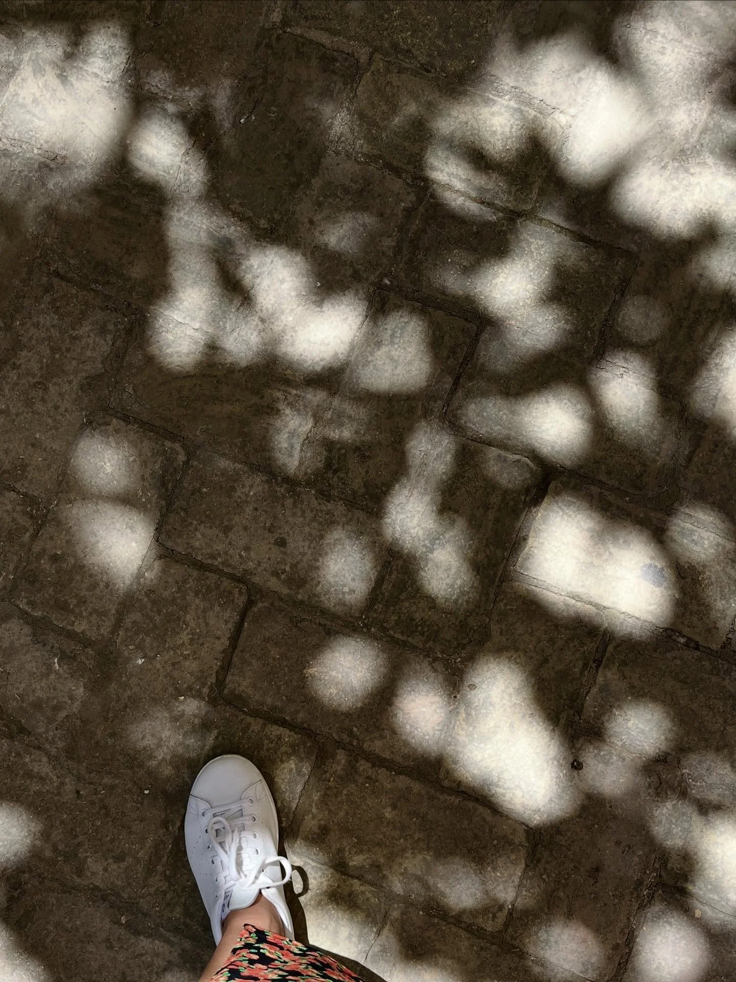 Anniversaire &bull; 5 ans d&rsquo;agence 🌱
En 2020, je quittais mon poste d&rsquo;architecte d&rsquo;int&eacute;rieur en CDI pour l&rsquo;inconnu ! 
5 ans plus tard, je suis toujours aussi heureuse de vous accompagner et de voir vos sourires lorsque