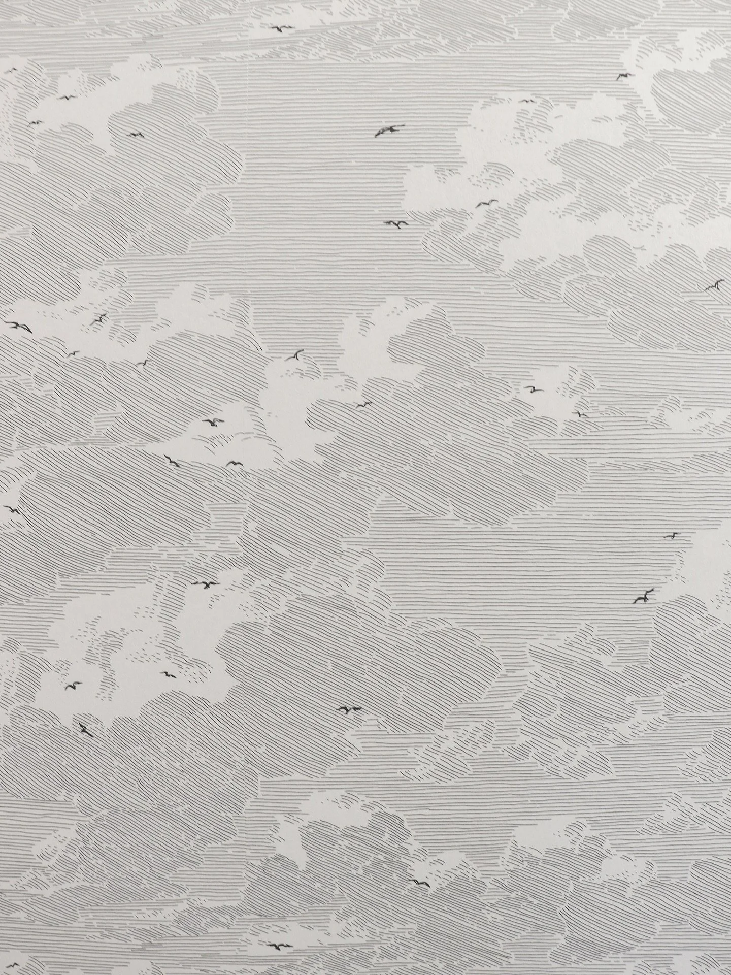 Projet TERLINDEN &bull; Conception 
Les papiers peints
.
Au coeur de cette belle maison de ville, les murs se sont par&eacute;s de motifs doux et/ou color&eacute;s venant apporter la touche finale aux univers de chaque espace ! 

1 . Papier peint Fea