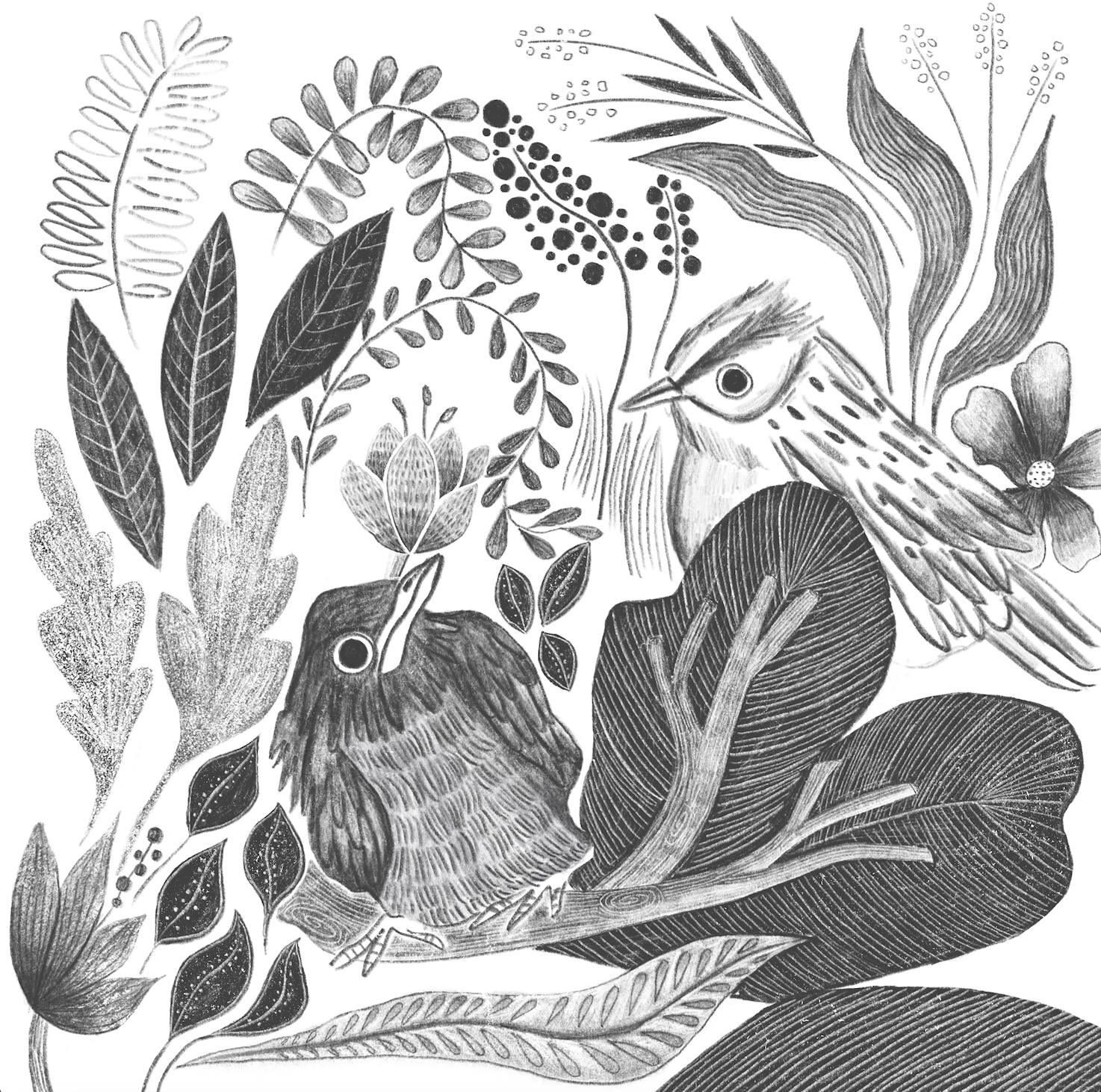 Screenshot 2026-02-10 at 2.38.22 PM.png