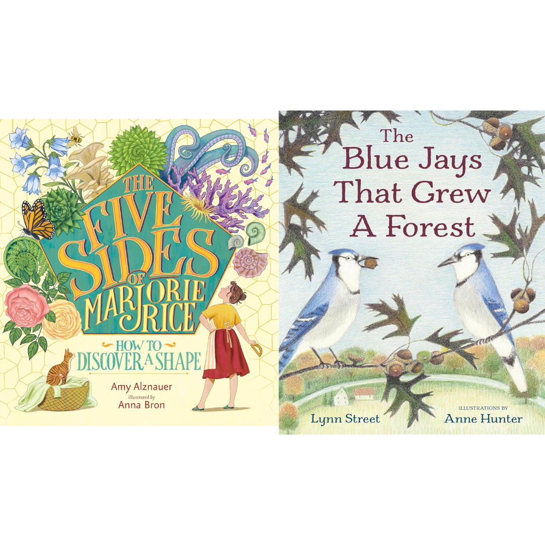 The Texas Library Association selects Amy Alznauer’s THE FIVE SIDES OF MARJORIE RICE and Anne Hunter’s THE BLUE JAYS THAT GREW A FOREST for the 2026 Texas Topaz Nonfiction Reading List for Youth