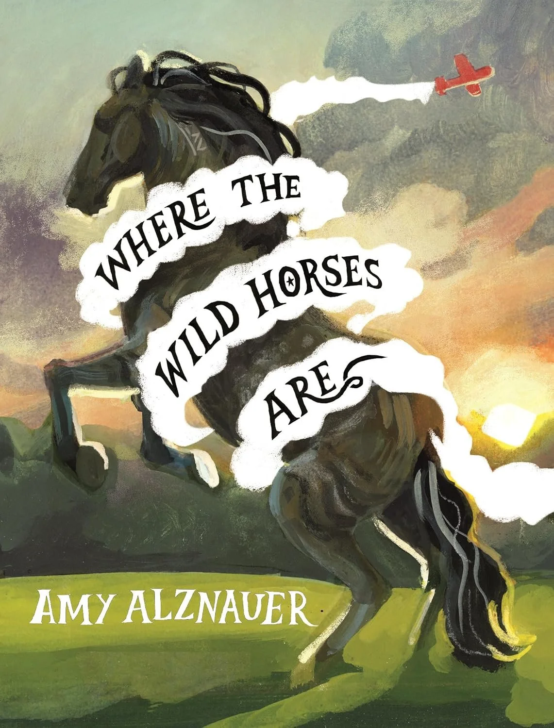 School Library Journal calls Amy Alznauer’s WHERE THE WILD HORSES ARE a “lyrical…compelling, character-driven novel with emotional depth” in starred review