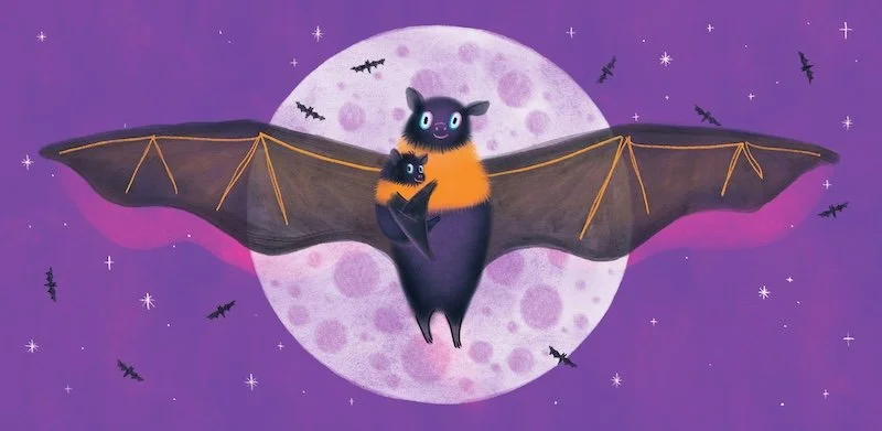 1 AnnaMcGregor_Portfolio_Fruit Bat 1.jpg