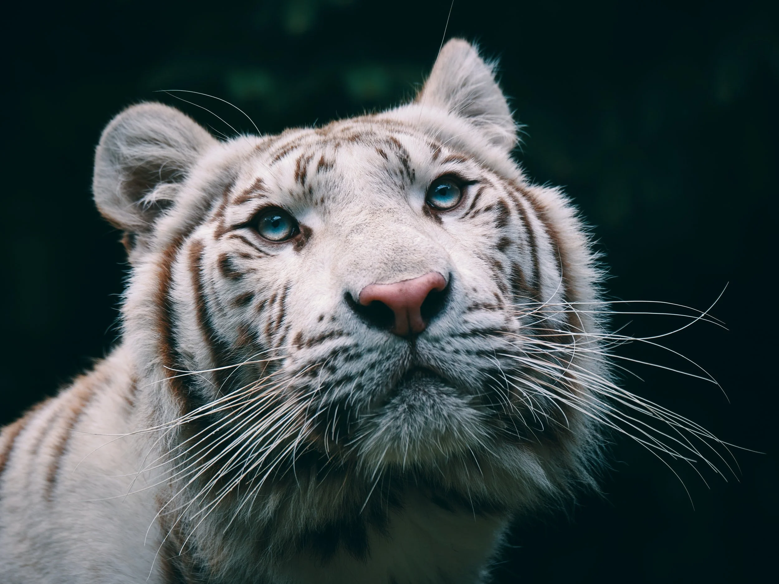 unsplash-image-Mbbek5WYCGo.jpg