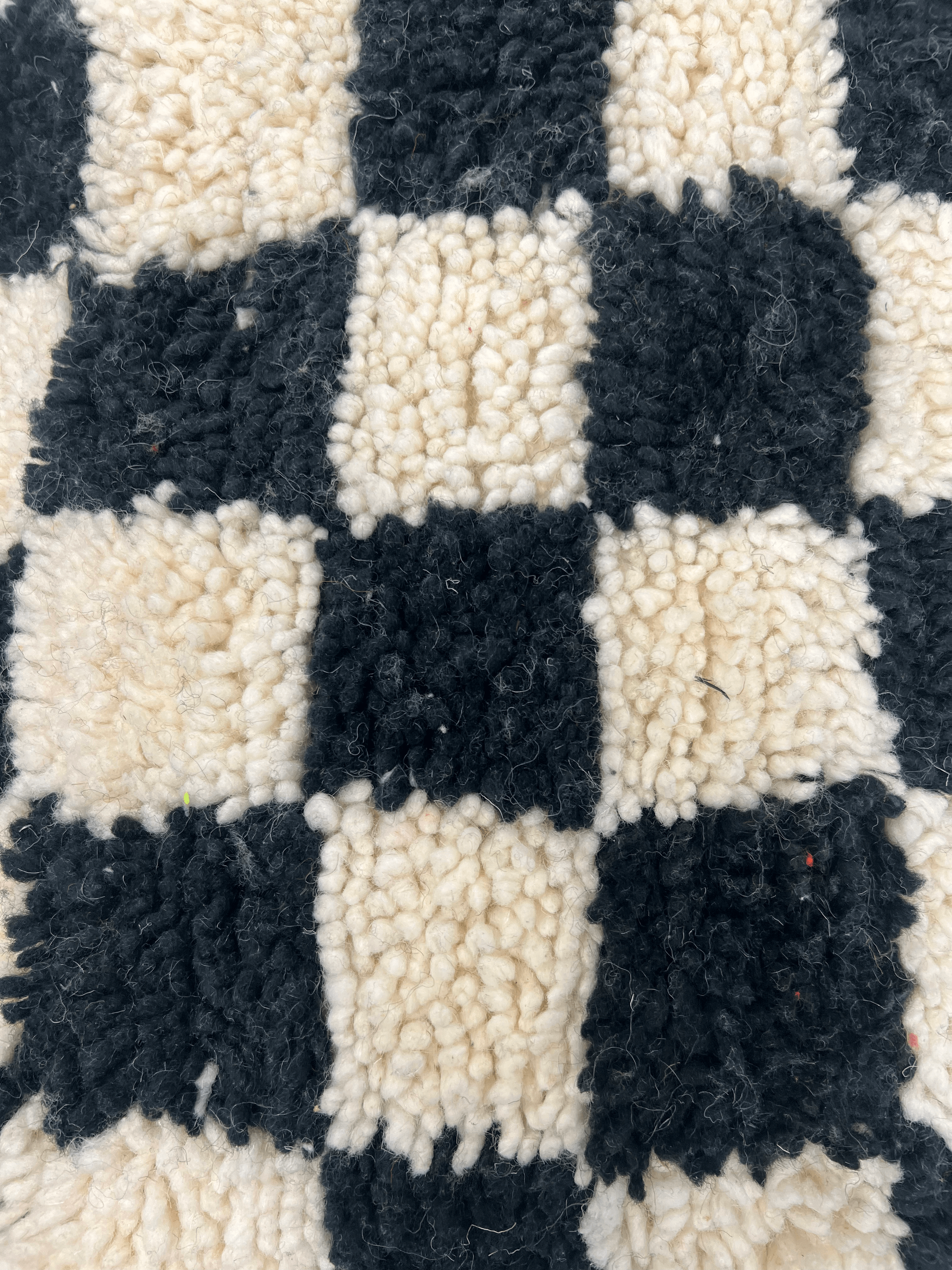 IMG_1481.png (Copy) (Copy)