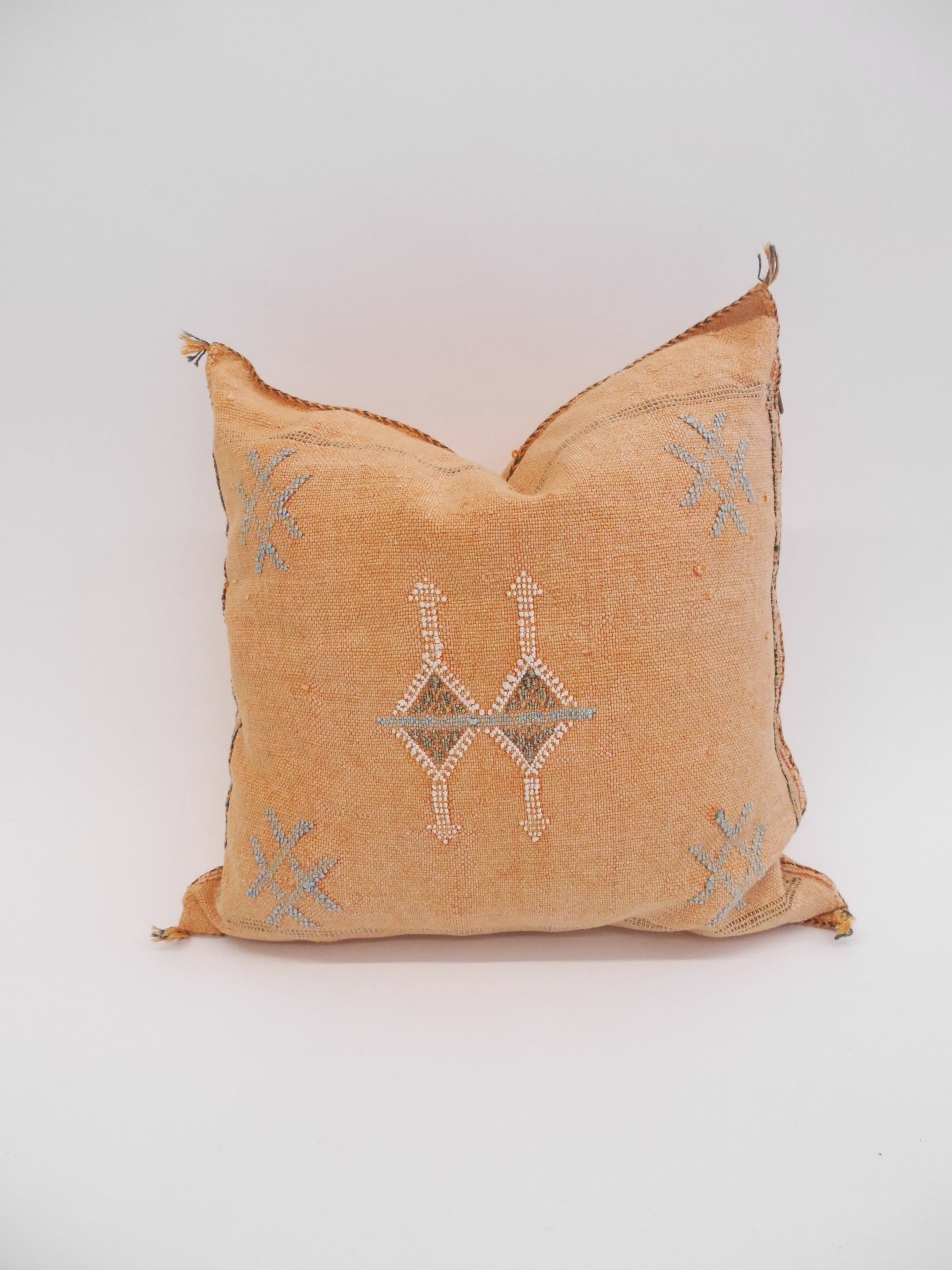 Peach Cacti Silk Cushion