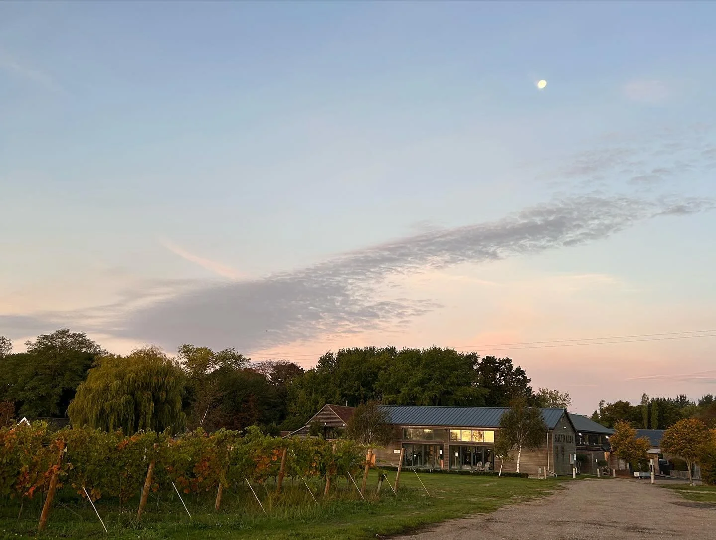 Another glorious morning in the vale of the River Crouch. Adjacent to the river, in fact, for this final Essex pick of the harvest @creekseaplacebarns. 
Today it was Pinot Noir, two German clones. Lovely fruit, now destemmed and awaiting the next st