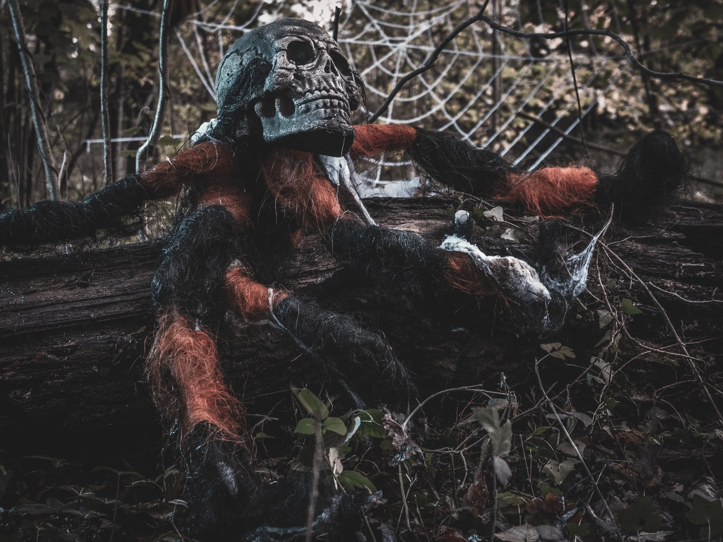 Hallowscream - _MG_4874.jpg