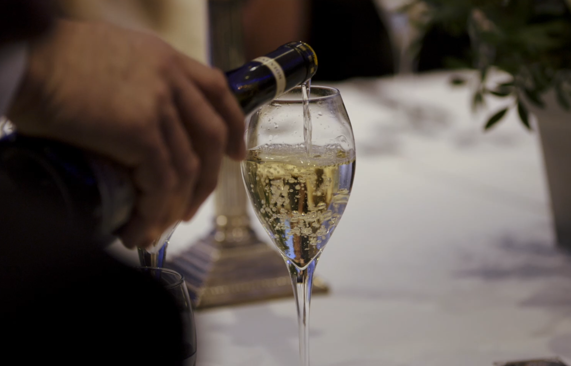 Screenshot 2026-02-21 163649.png