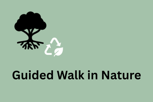 Guided Winter Walk