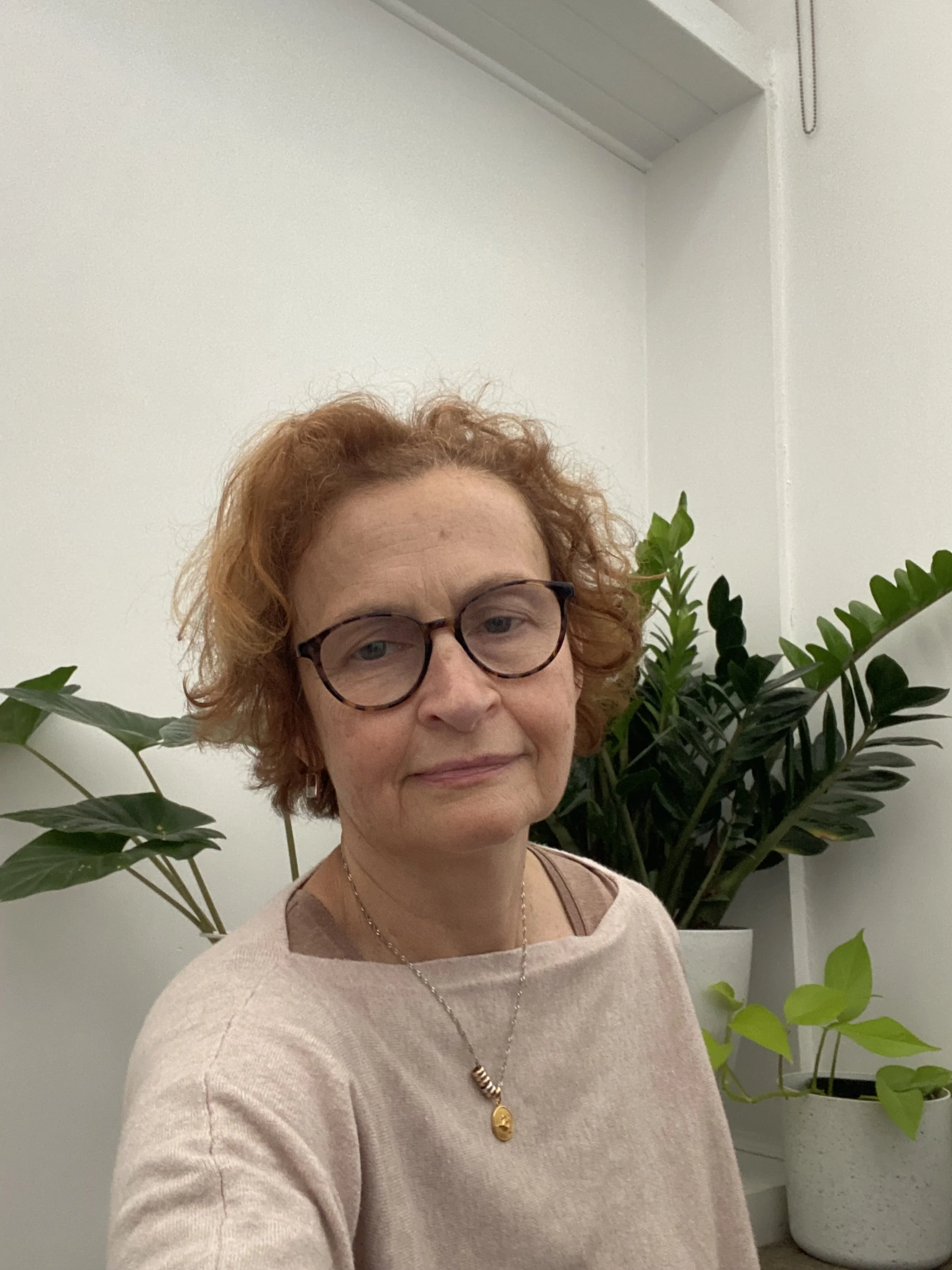How the Mastering Menopause course started