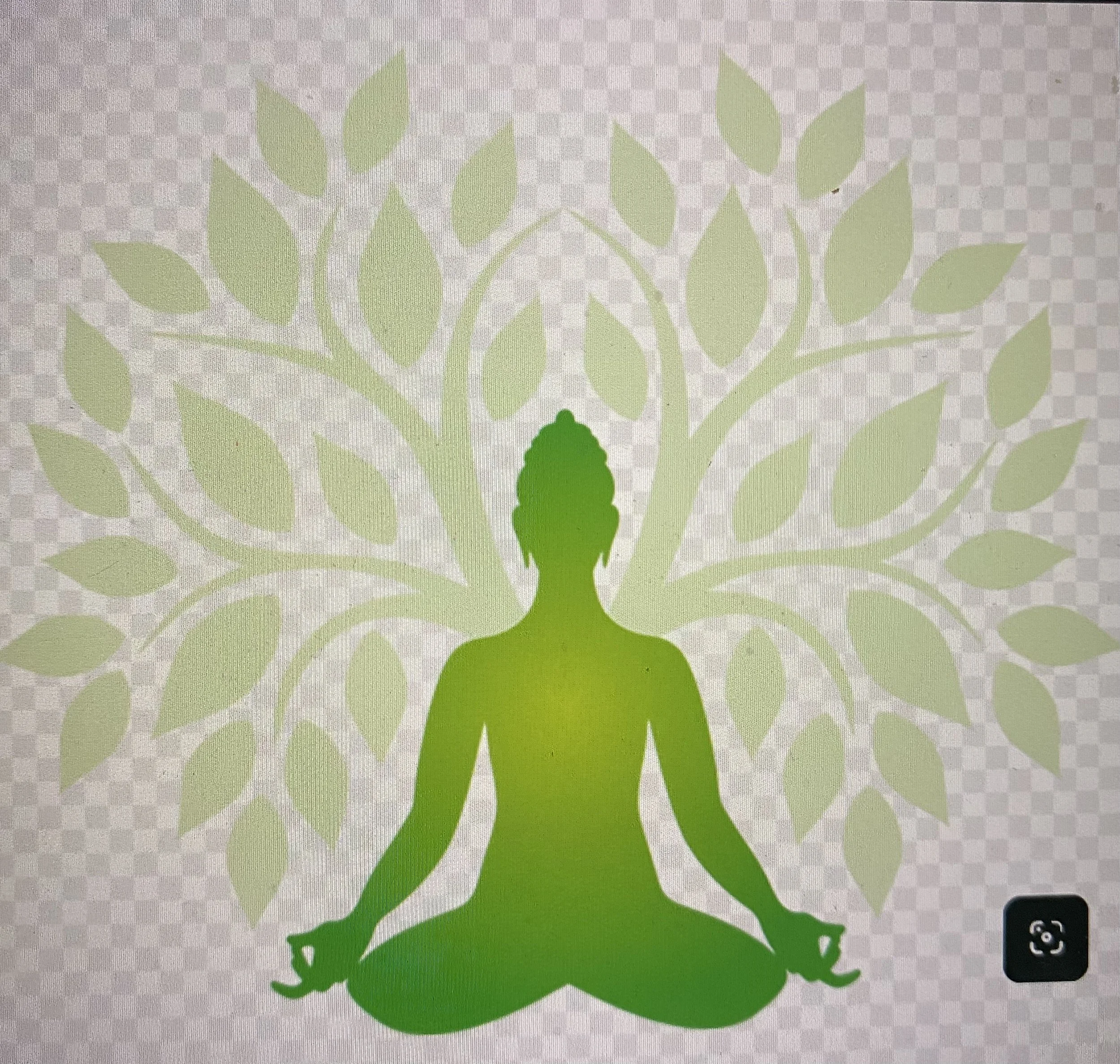 Mindfulness as Medicine: Meeting Menopause with Presence