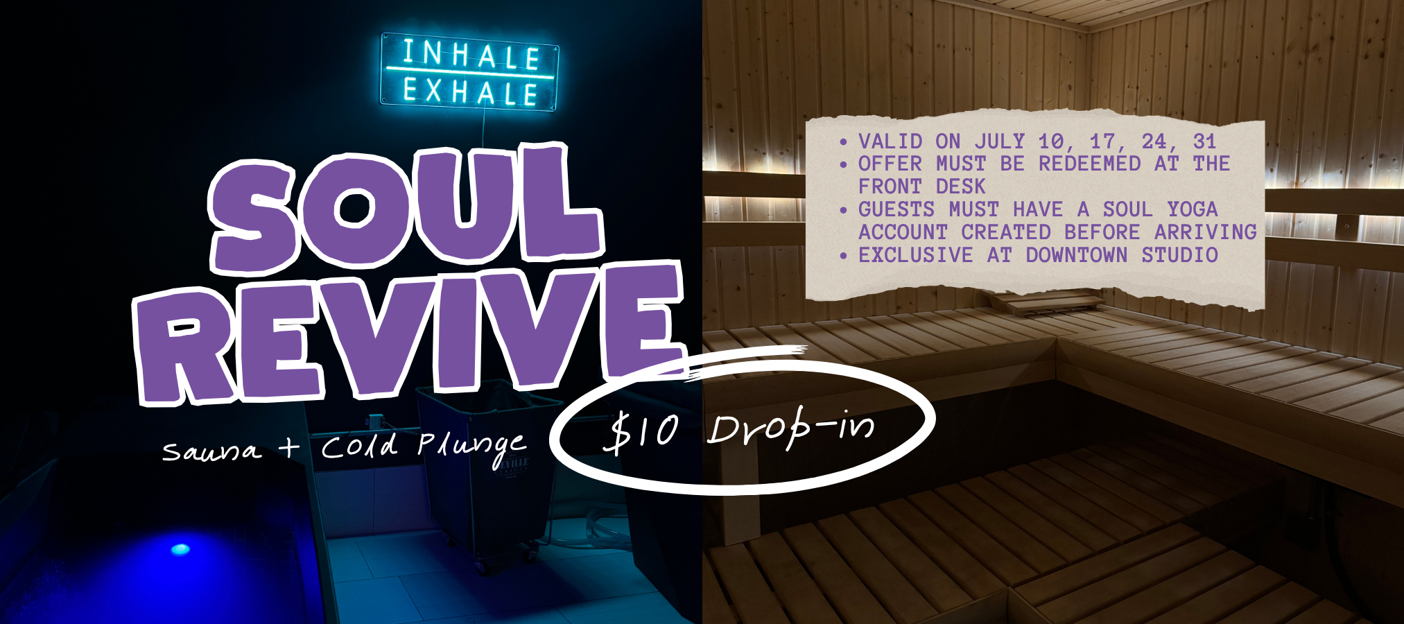 website 10 dollar soul revive.png