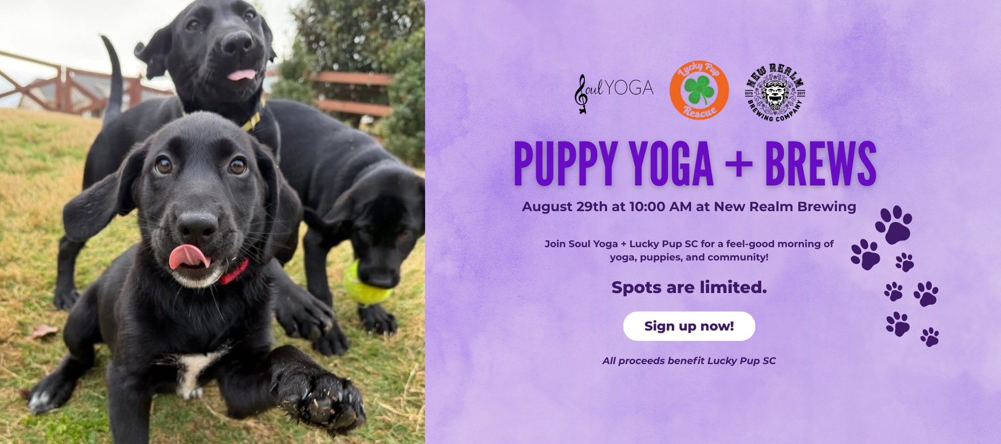 Puppy Yoga Website.png