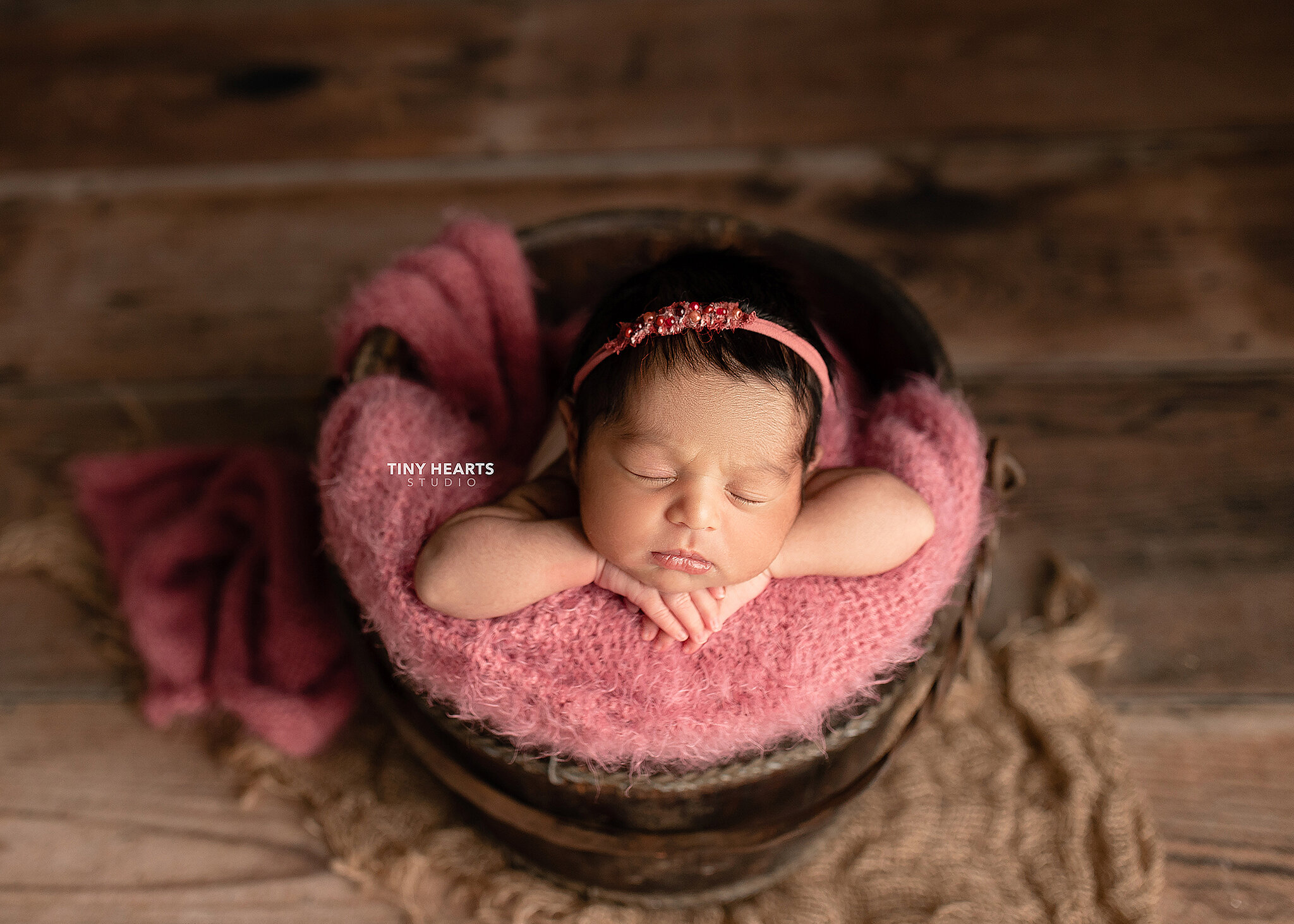 best newborn photographers St. Cloud MN