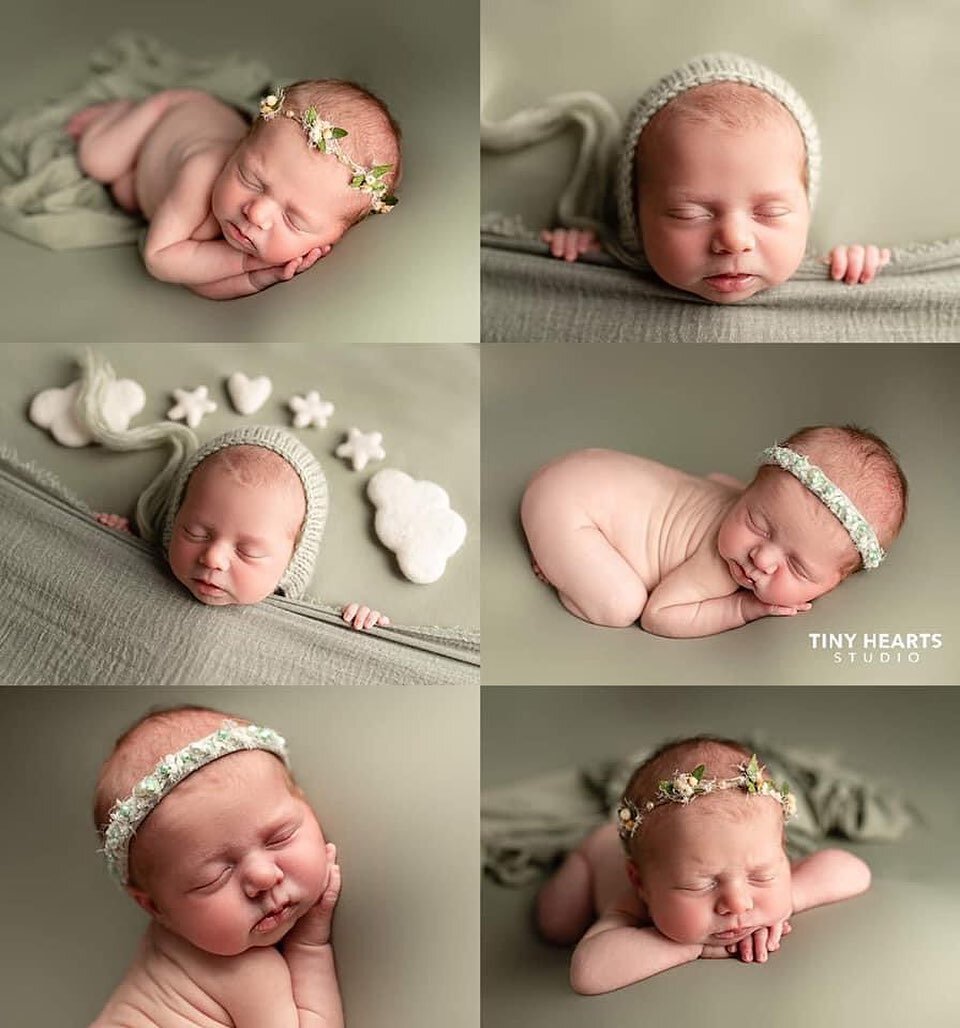Baby photoshoot 
@tiny_hearts_studio 

#newborn #tinyheartsstudiochanhassen 
#tinyheartsstudio #dellwoodmn  #studioportrait #melrosemn #edinamn #victoriamn #influencer #mayer  #stpaulmn #chanhassen #excelsiormn #edenprairie 
#centralminnesota #minnea