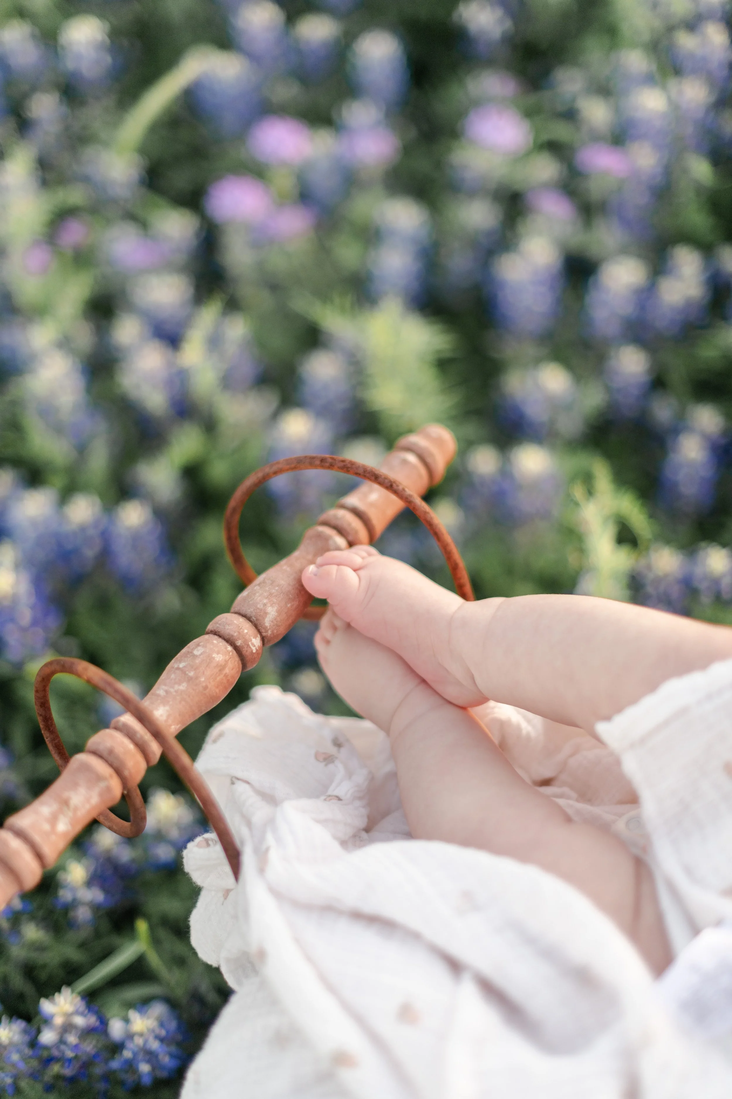 isla bluebonnets 24-14.JPG