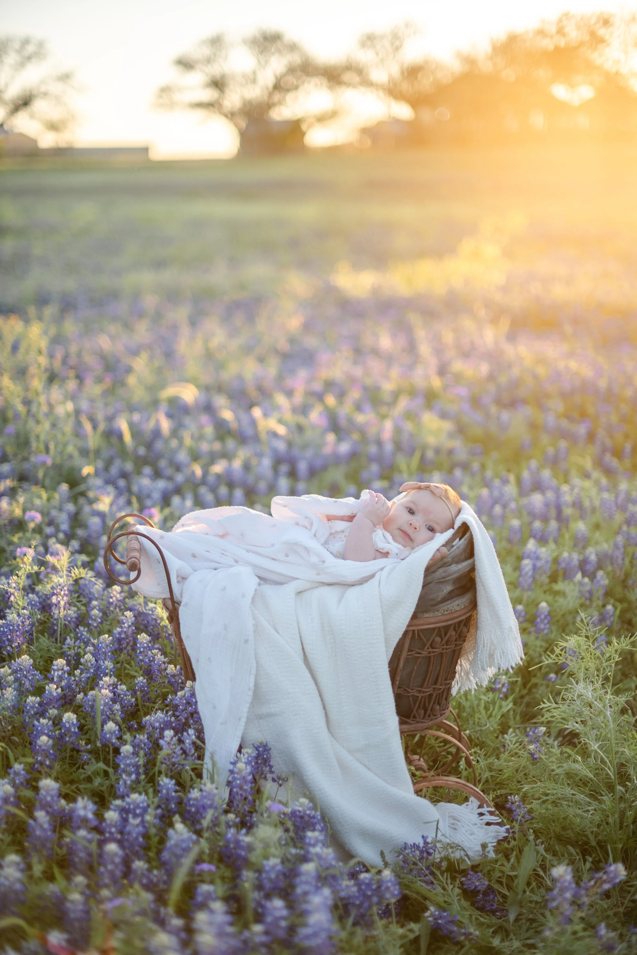 isla bluebonnets 24-7.JPG