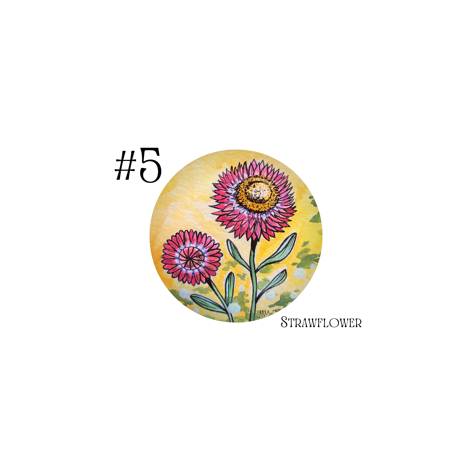 Floral Postcard Set - 5 Postcards — Woodland Acre Flowers