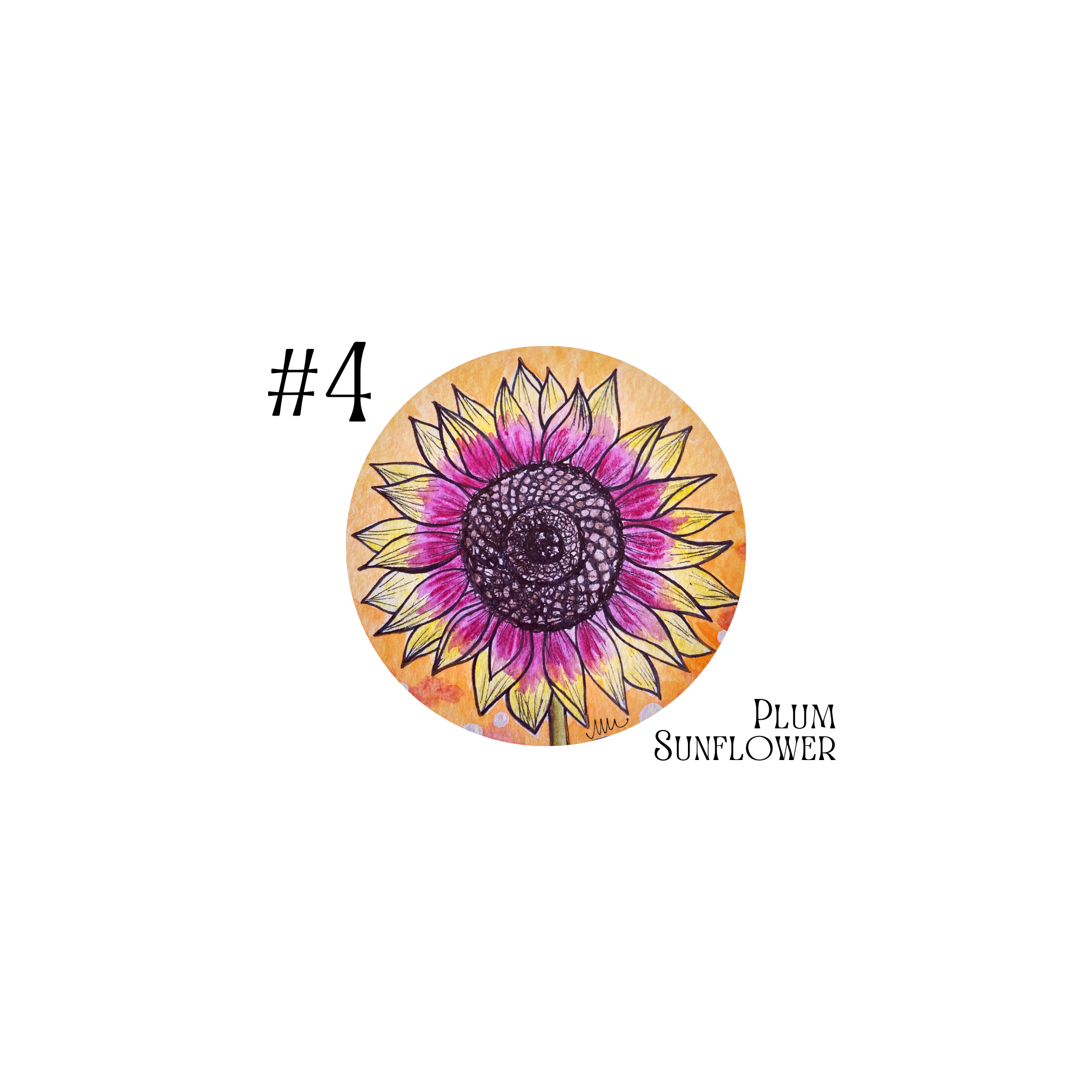 Floral Postcard Set - 5 Postcards — Woodland Acre Flowers