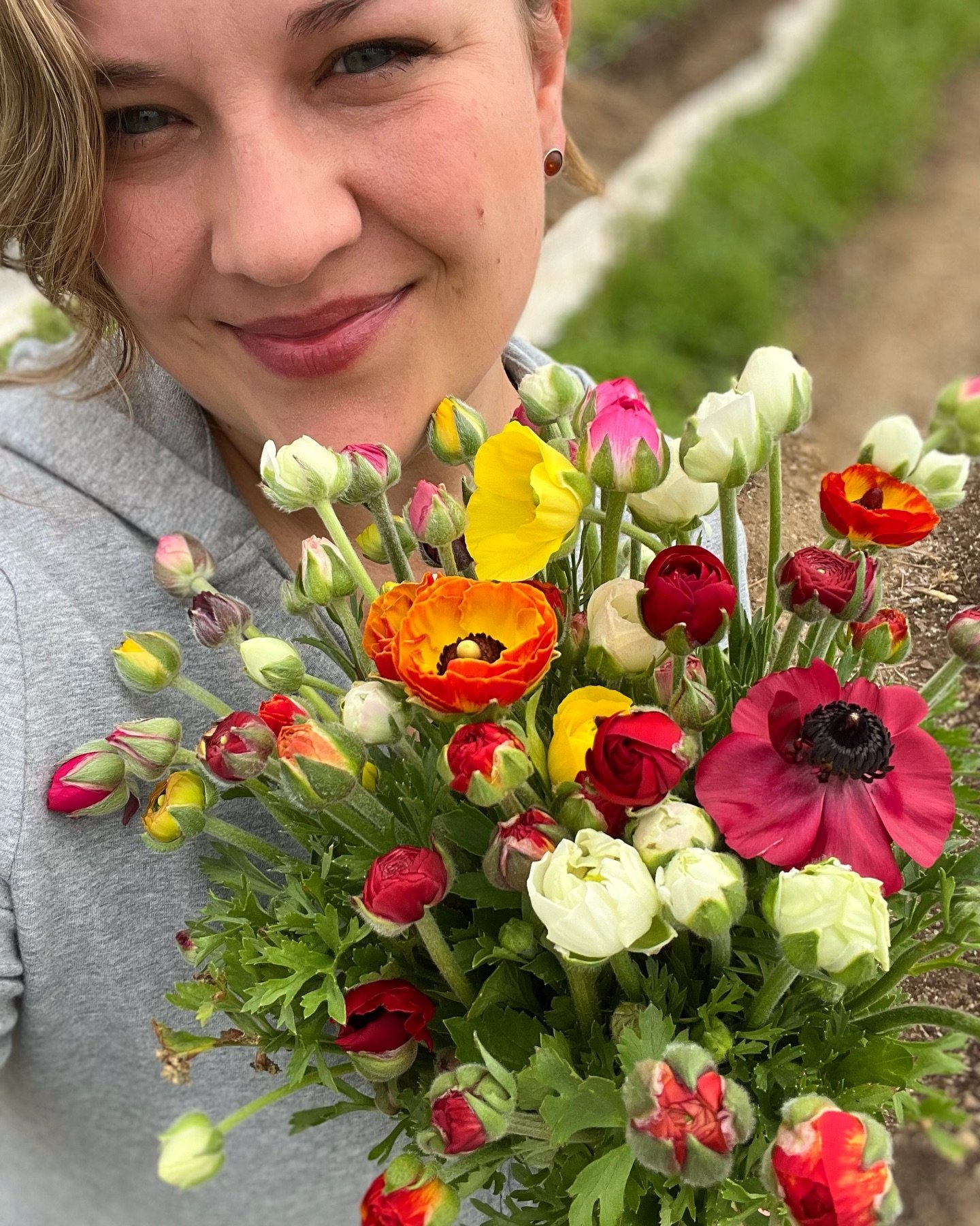 First big handful of ranunculus 🌸 I'll be using most of these for our events this weekend but we may have enough extra to open up the Flower Cart for the first time this Sunday - stay tuned!