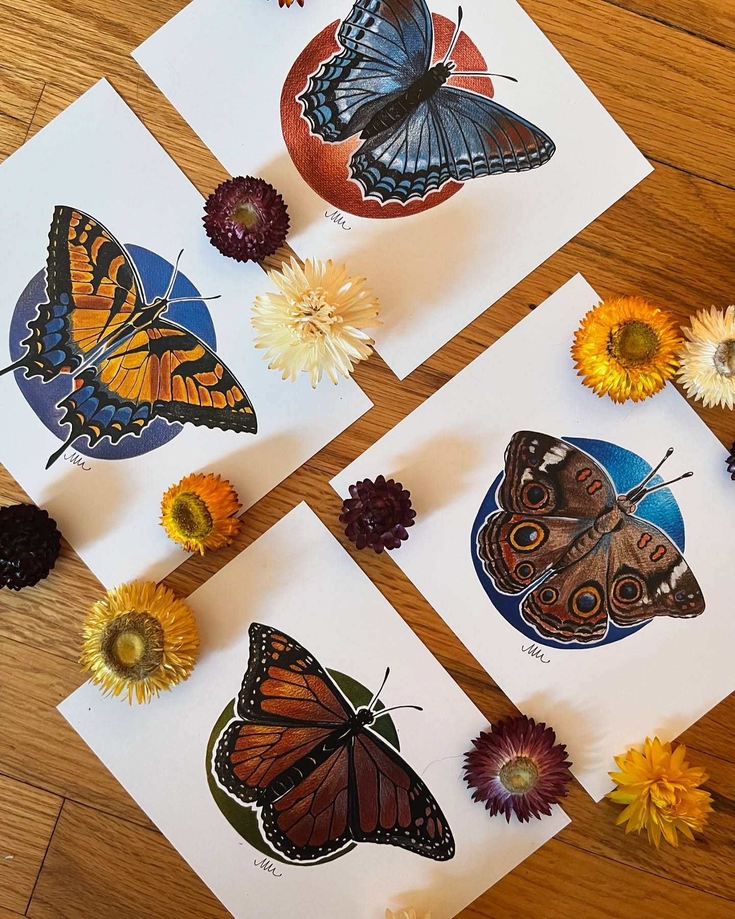🦋 NEW! Butterfly Postcards 🦋 I've been working on painting several of my favorite butterflies for new postcards we are offering as individual prints or as a set of 4 - each print includes an envelope and can be used as a greeting card in addition t