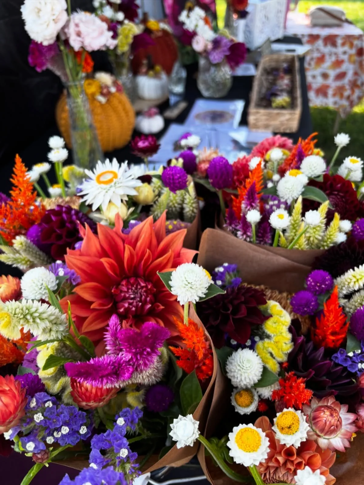 We are at the Fall Barn Sale again today until 2pm! Come out and enjoy the sunshine ☀️ 15436 Palmyra Road, Diamond, OH 44412