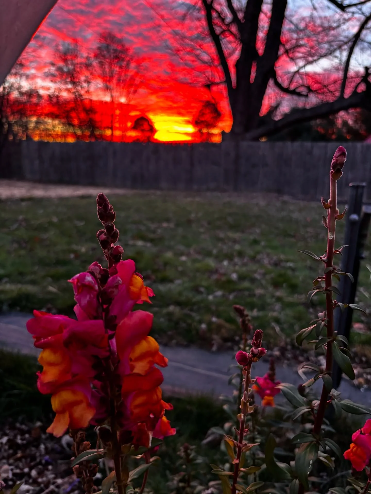 Among the many things we are thankful for, these fall sunsets are at the top of the list lately 🧡 Wishing you and your loved ones a Happy Thanksgiving, thank you for following along and supporting us 🫶🏼