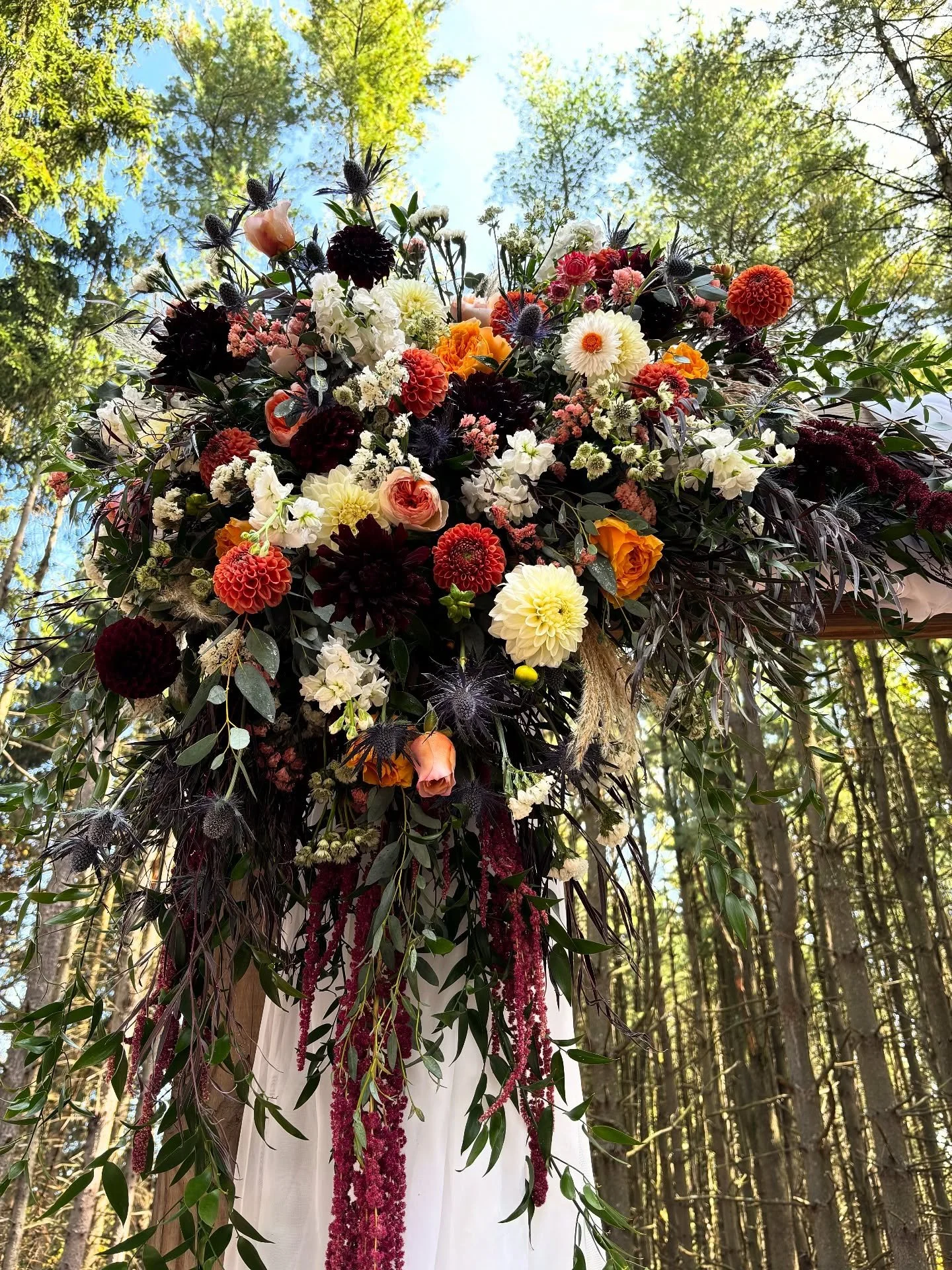 Lots of beautiful statement pieces from this year's wedding ceremonies ✨ I love to create a magical floral backdrop for the special moment our couples say "I do" 🤍 Now booking for 2026 - visit our wedding page on our website and fill out a
