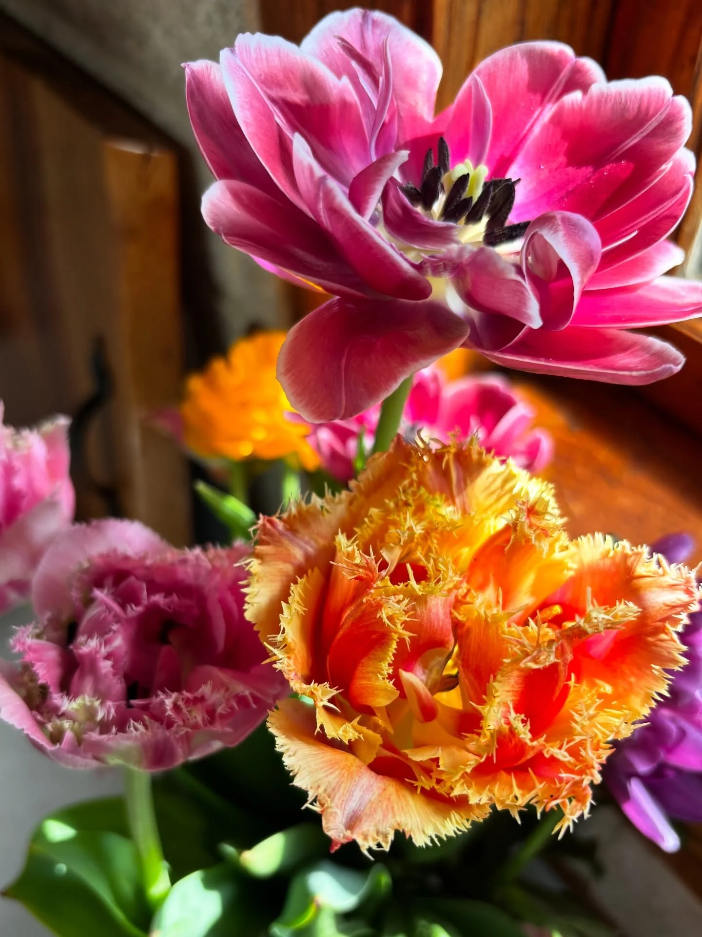 This weekend - Saturday, April 18th - will be the first day we will open our Flower Cart with tulip bouquets 🌷🌷 It's so exciting to see flowers blooming again! Our Flower Cart is self-serve and located at 3064 Woodland Road, Akron, OH 44312 💐 Bouq
