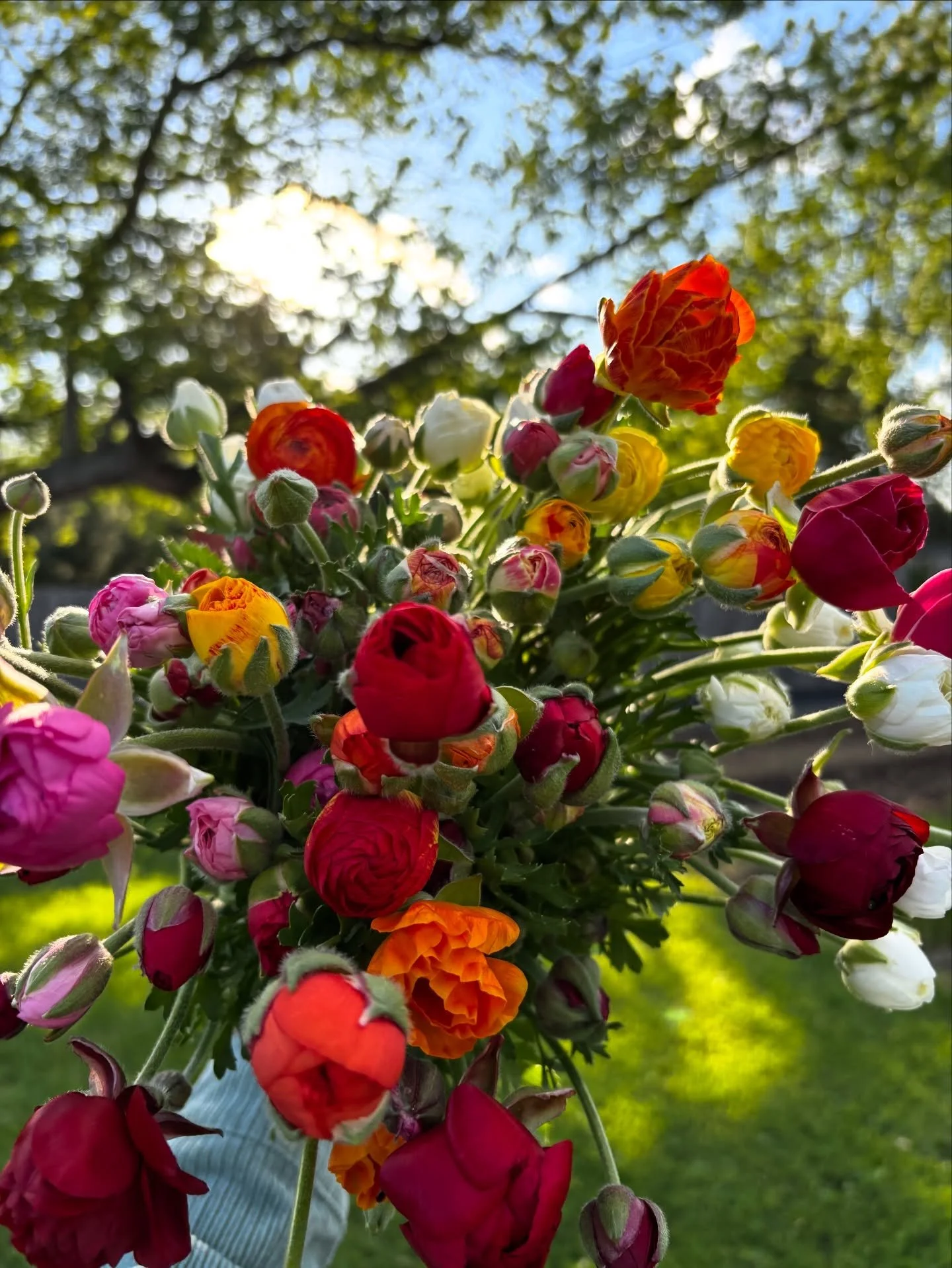 I've been working on lots of Mother's Day flowers for this weekend 💐 I just placed another order for some extra flowers so I'm hoping to have enough to open our Flower Cart on Saturday, but if you want to guarantee you get a bouquet, visit our websi