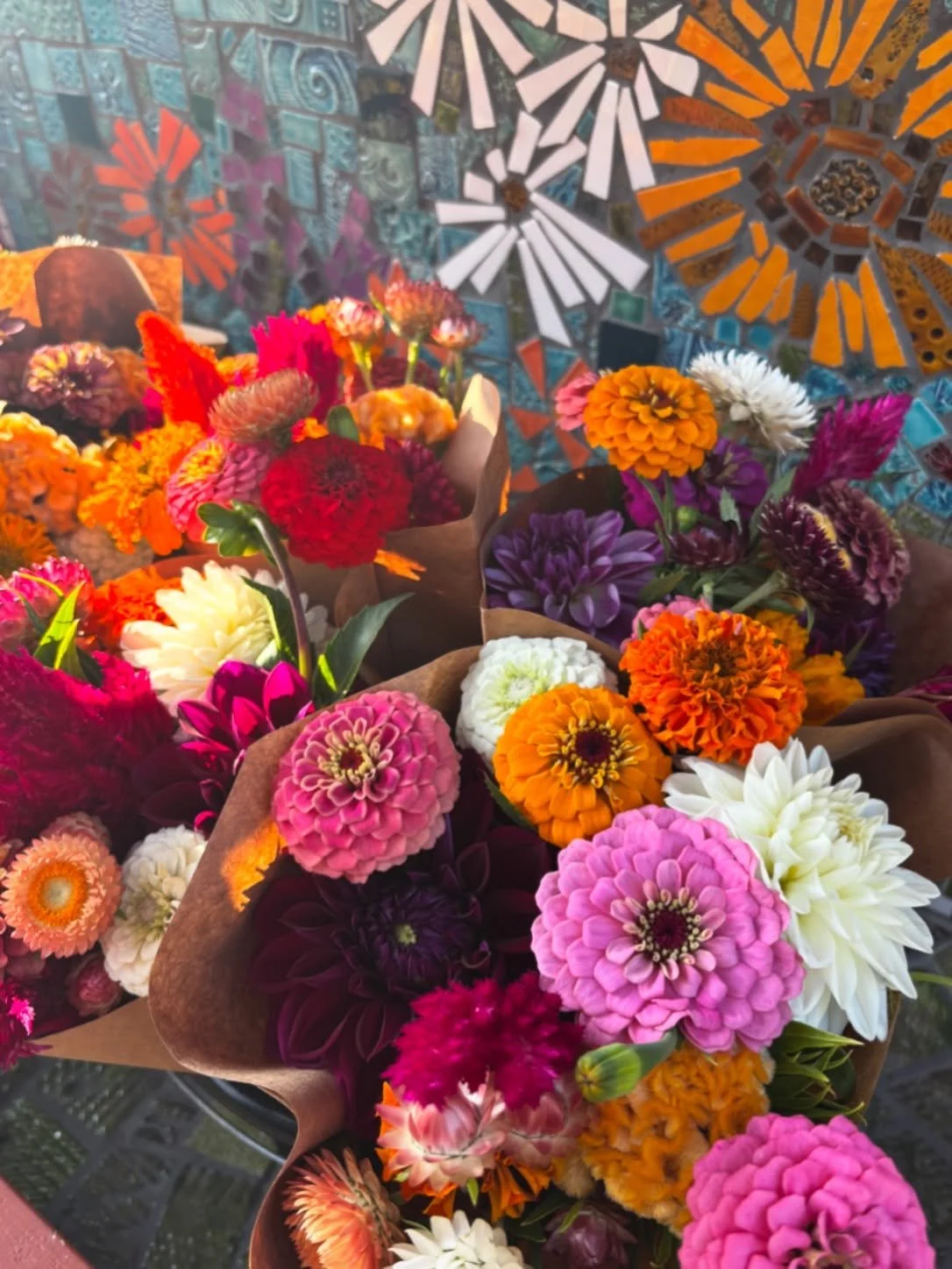 Open all weekend with lots of dahlias, celosia, zinnias, marigolds, &amp; more 💐 3064 Woodland Road, Akron, OH 44312