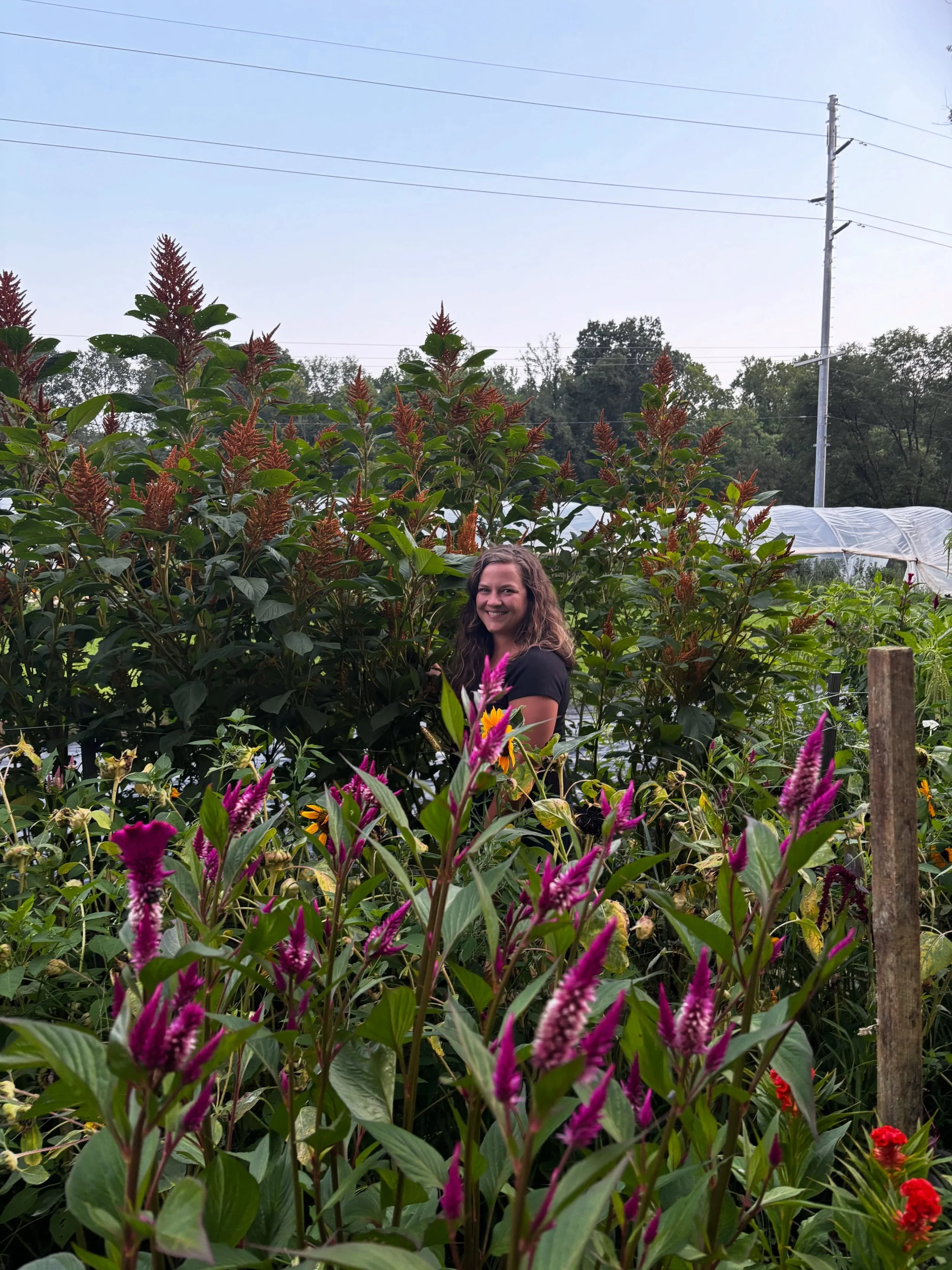 Some of the plants are currently taller than me and it's looking like a jungle oasis back there 🌿🌼🌺 I'm working on finishing up wedding flowers for tomorrow and we have a big house project in progress with lots of construction vehicles (not a fun 