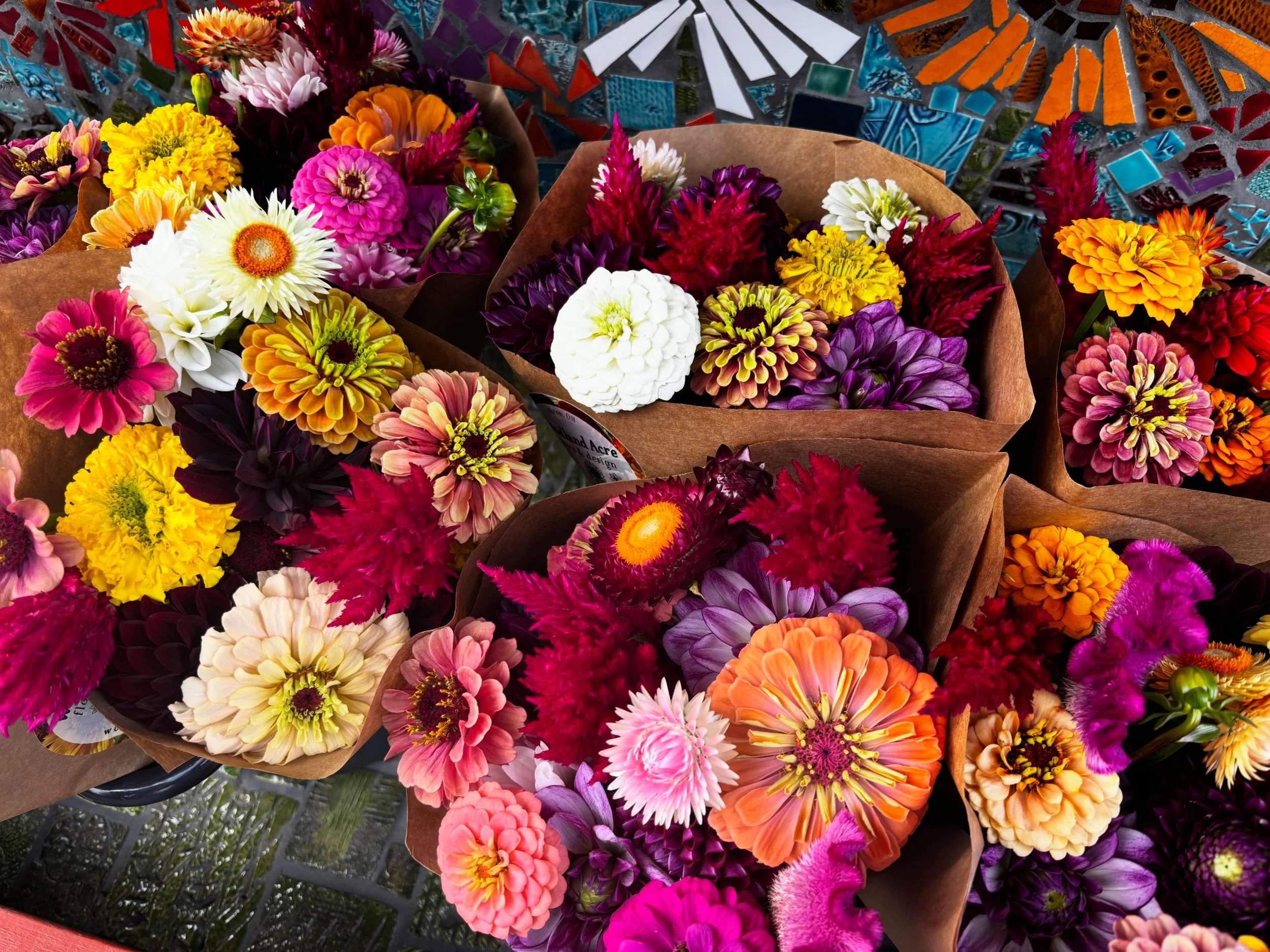 August is nearing the end but the bright summer colors are here to stay a little longer 💛🩷💜🧡 Our Flower Cart is open till dusk - 3064 Woodland Road, Akron, OH 44312 💐
