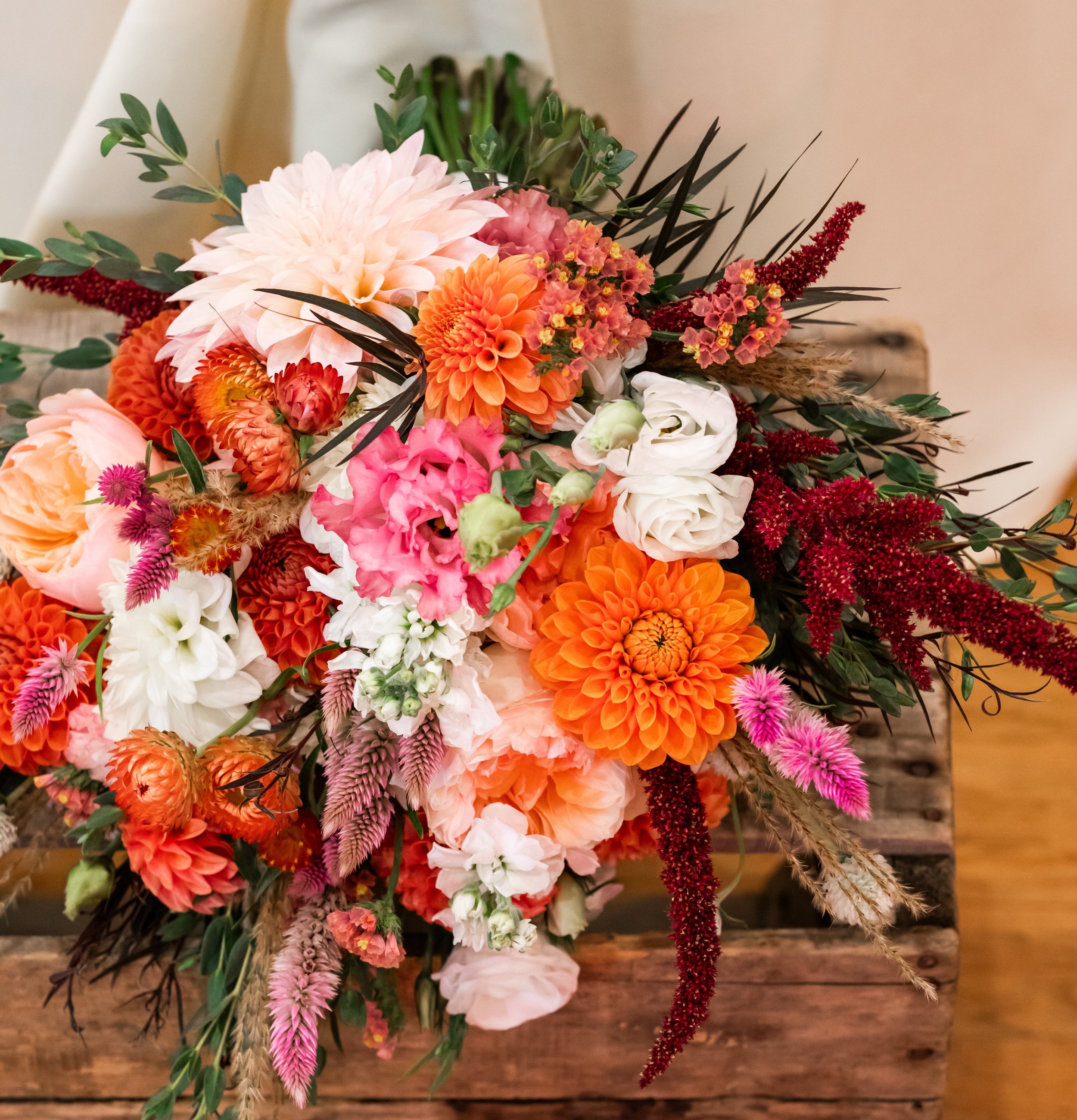 669_Original (1).jpeg