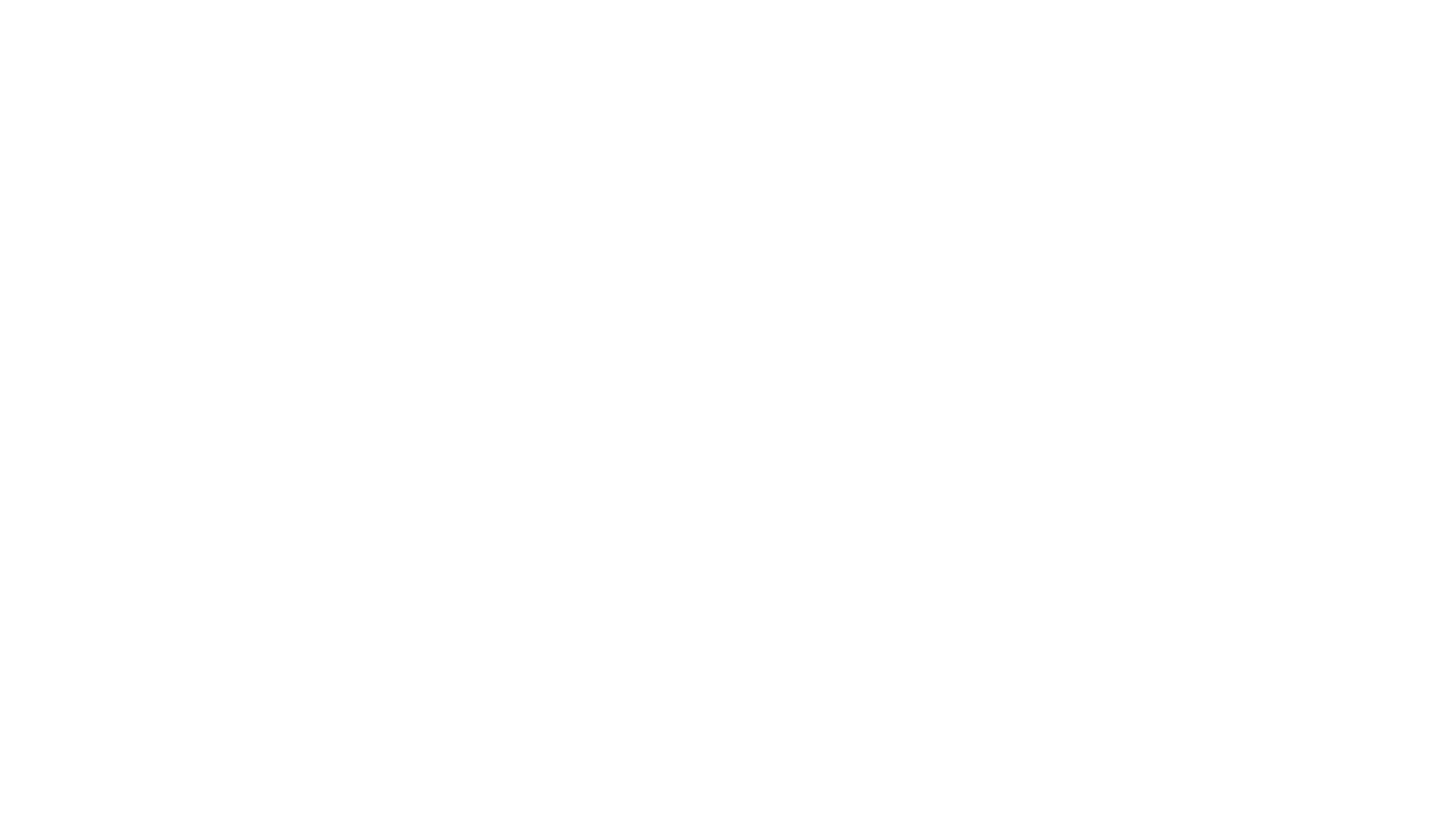 Amera Lulu Portfolio 