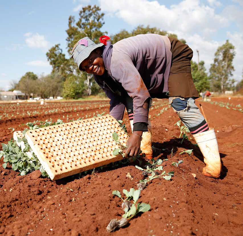 Transforming Women Work: Policies for an Inclusive Economic Agenda
