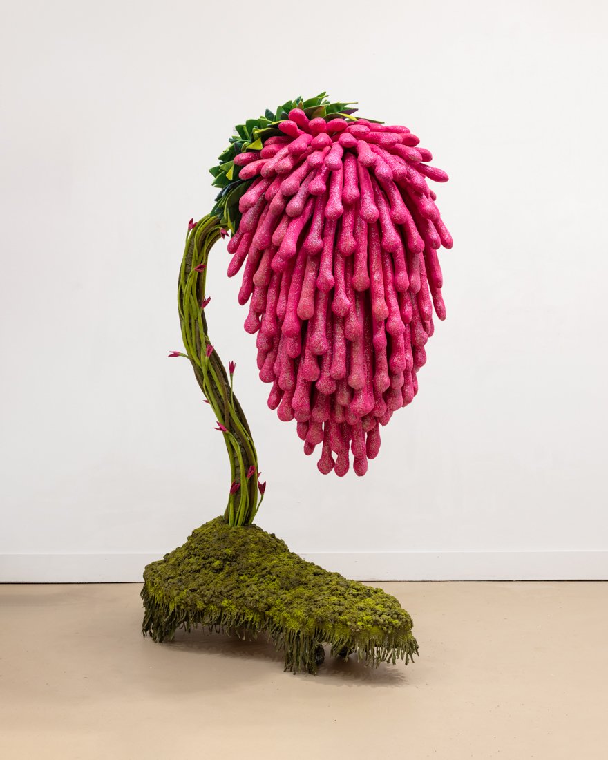 Florescence       79"x33"x53      2025