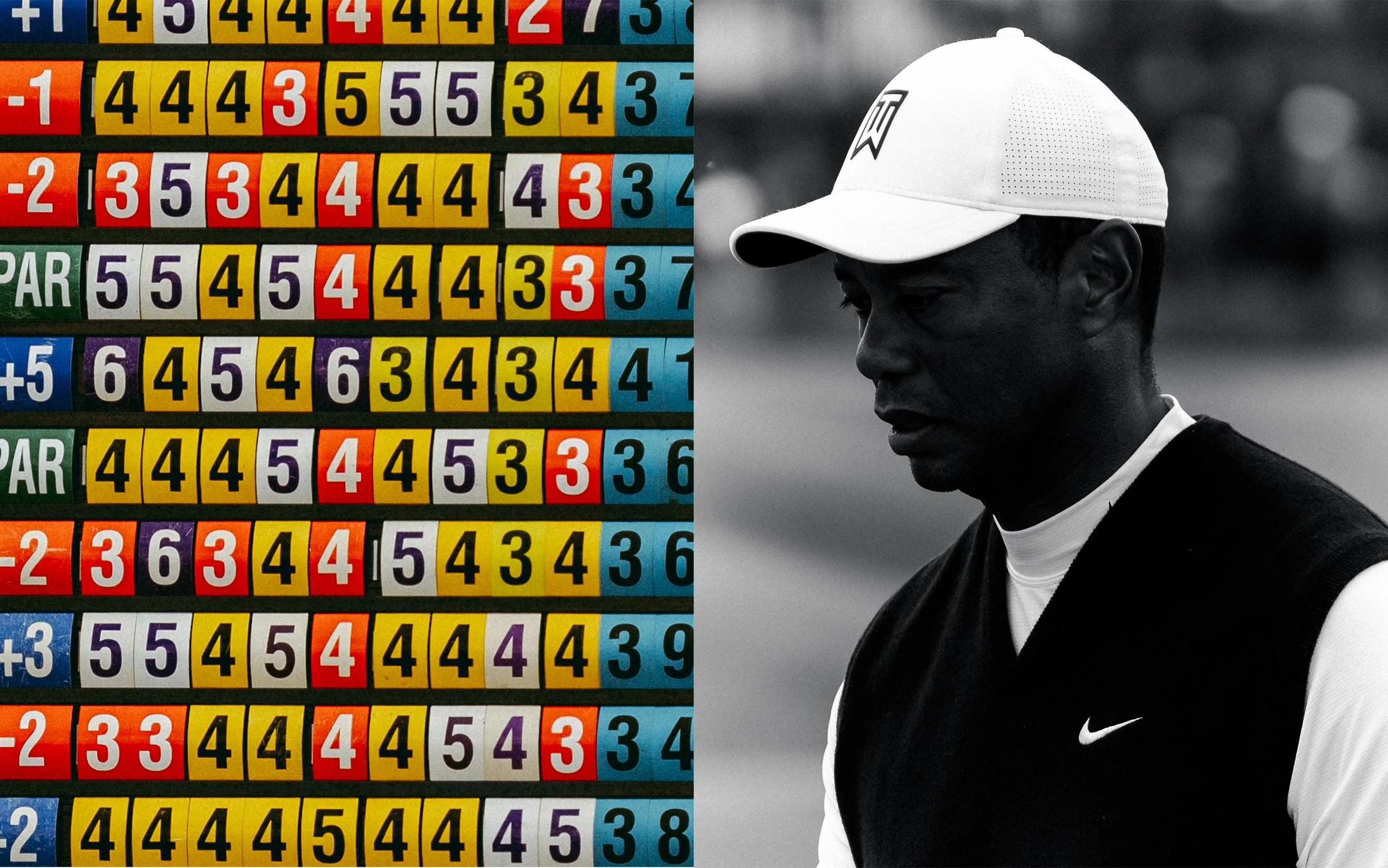 tiger.jpg