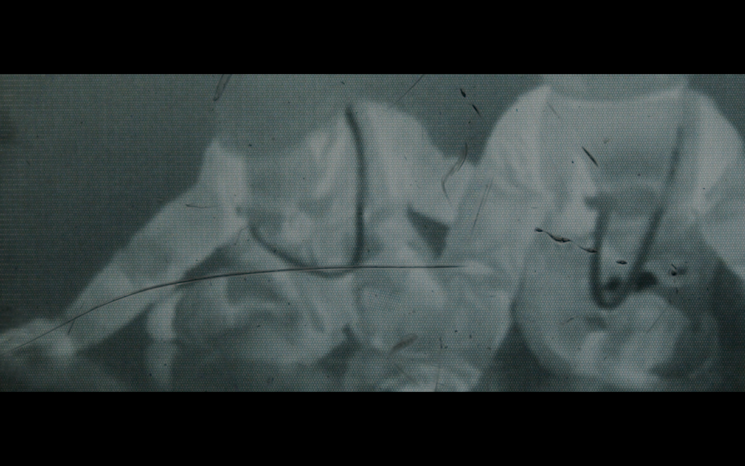 Screen Shot 2020-08-01 at 11.54.26 PM.png