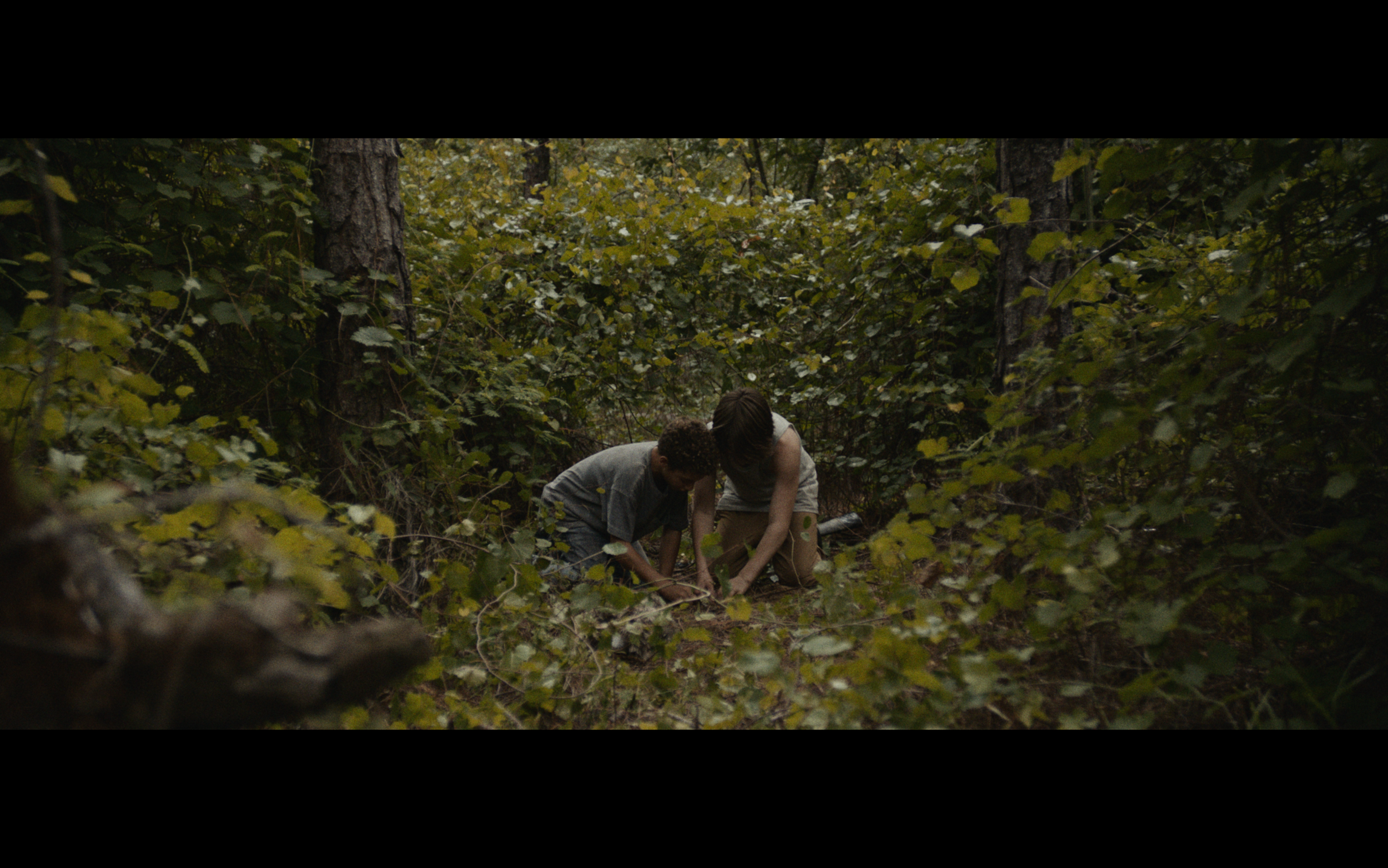 Screenshot 2023-07-13 at 7.56.27 PM.png