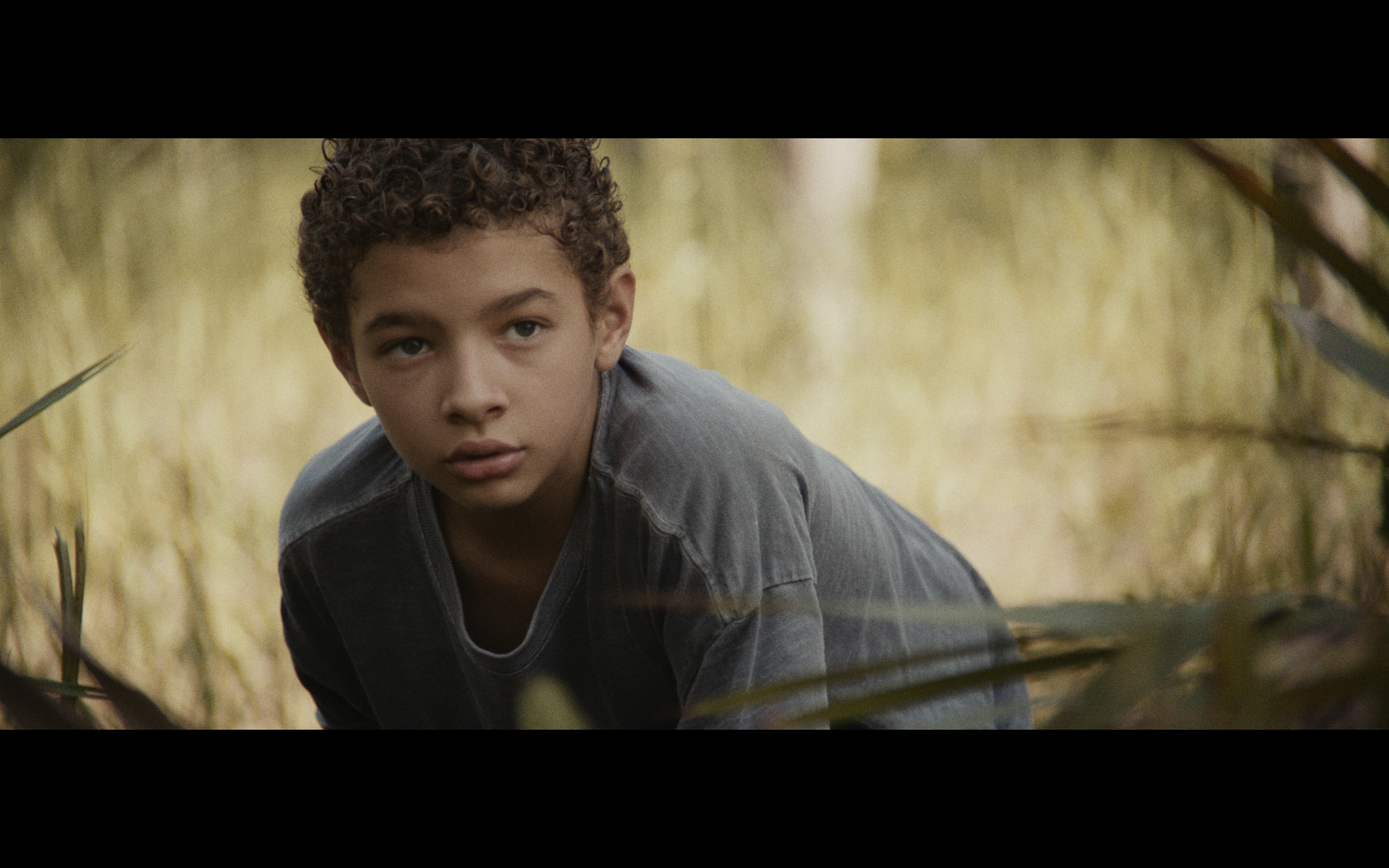 Screenshot 2023-07-13 at 7.59.25 PM.png