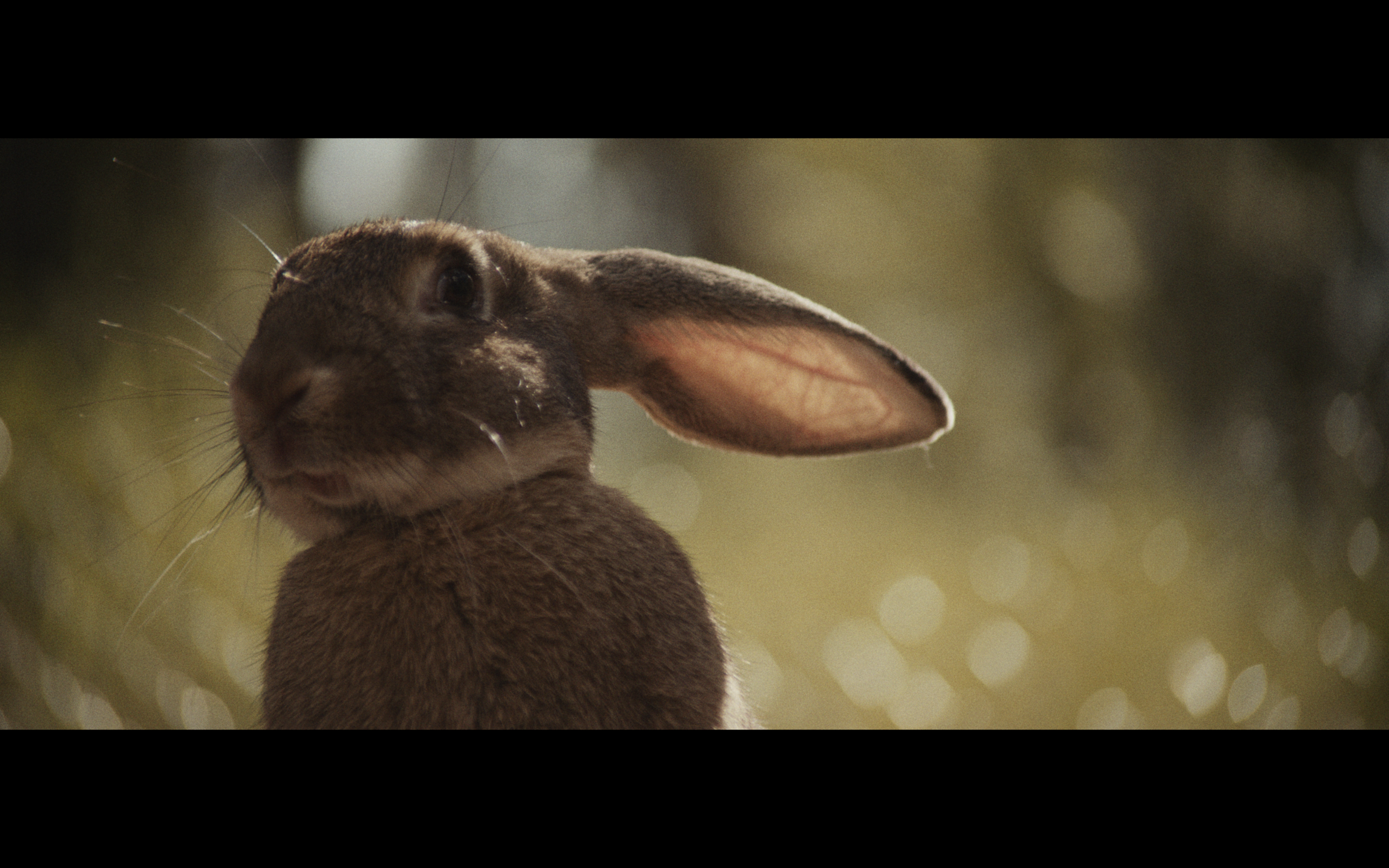 Screenshot 2023-07-13 at 8.08.27 PM.png