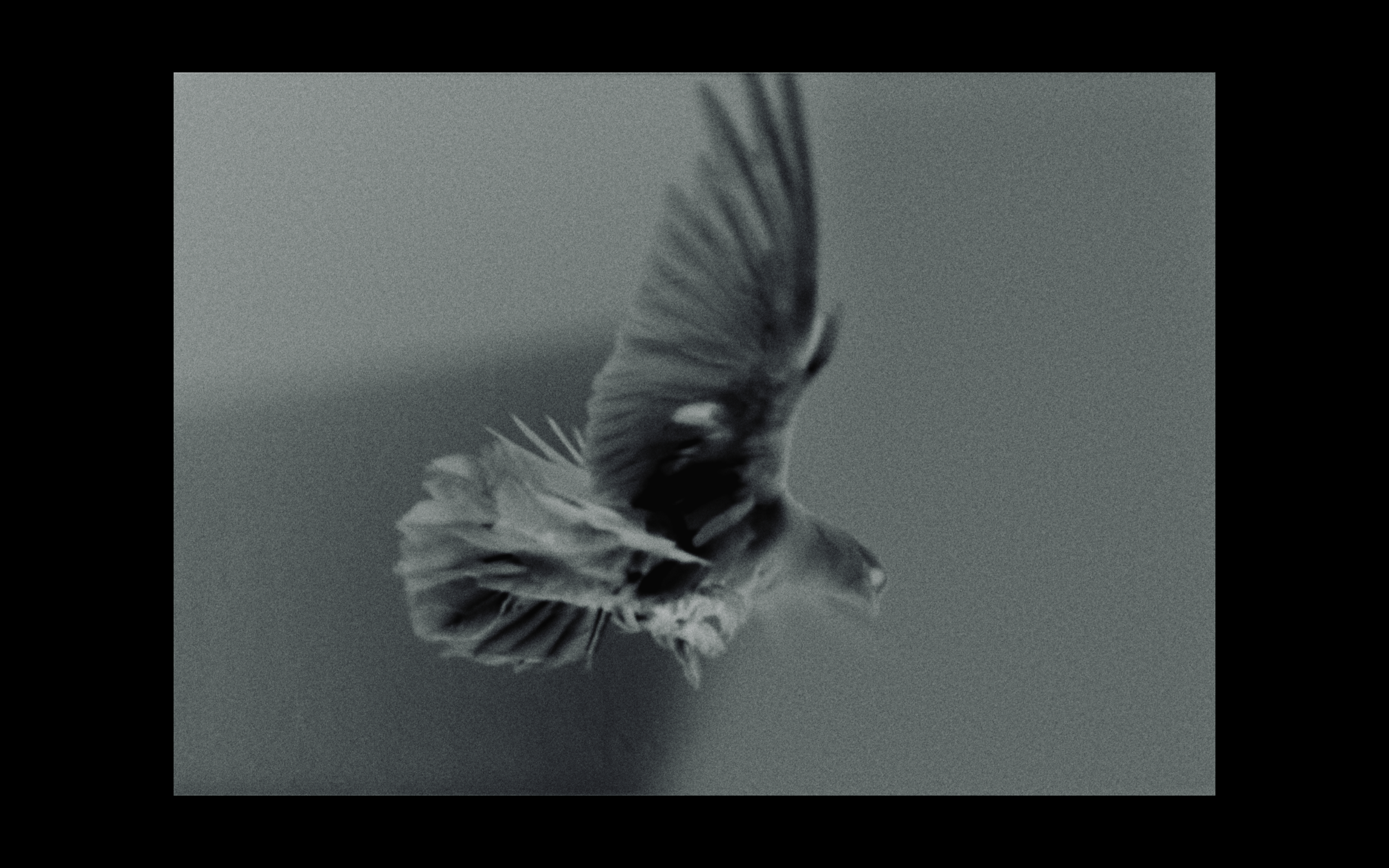 Screenshot 2024-11-17 at 8.23.46 PM.png