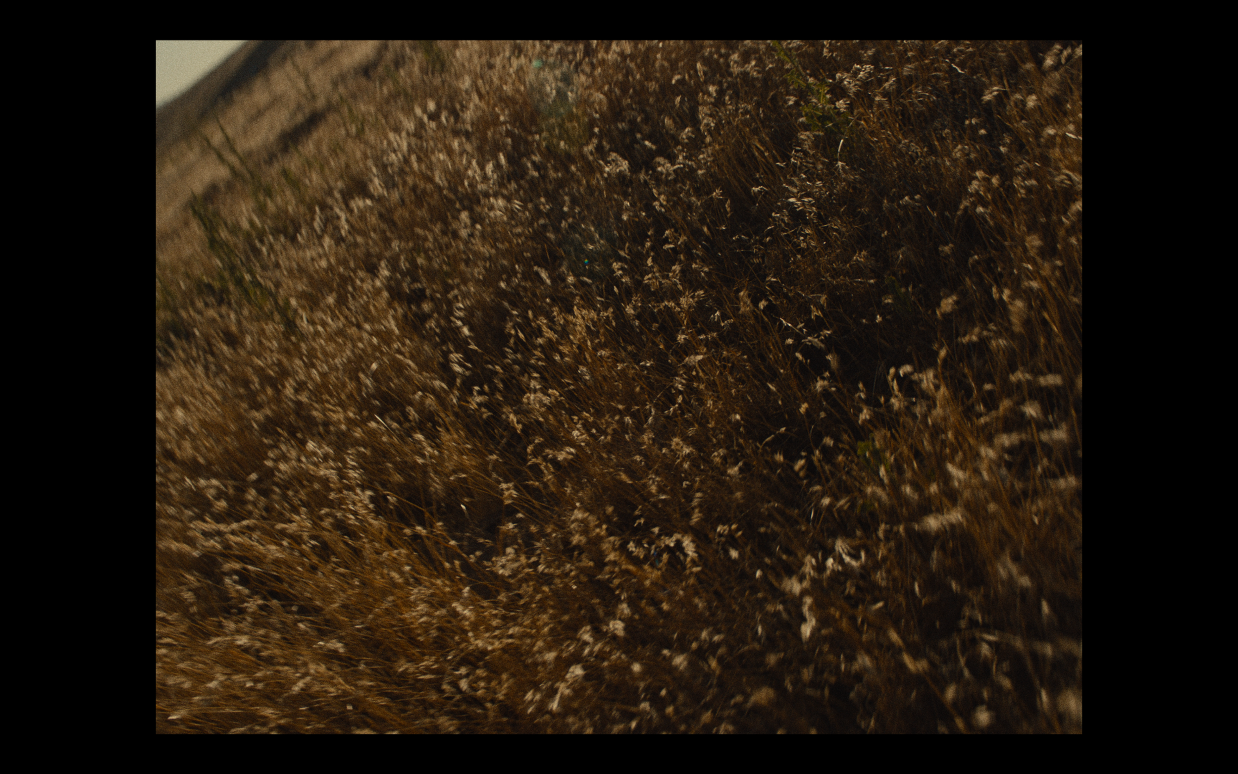 Screenshot 2024-11-17 at 7.36.57 PM.png