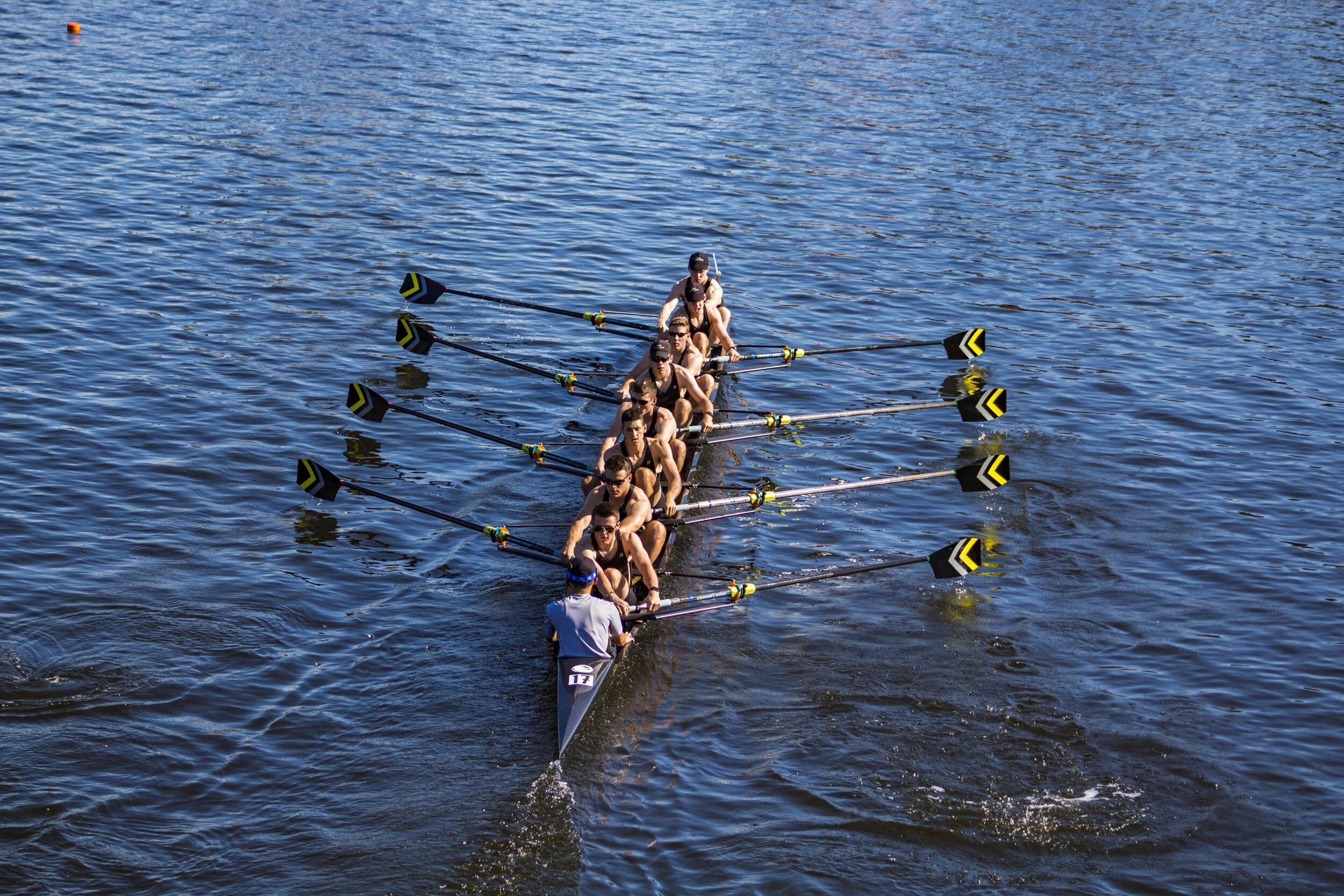 head-of-the-charles-regatta_cambridge_10-21-172_37601283590_o.jpg