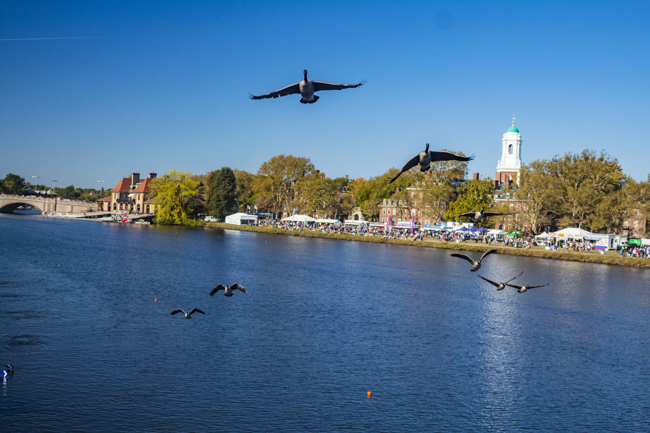 head-of-the-charles-regatta_cambridge_10-21-1752_37601270240_o.jpg