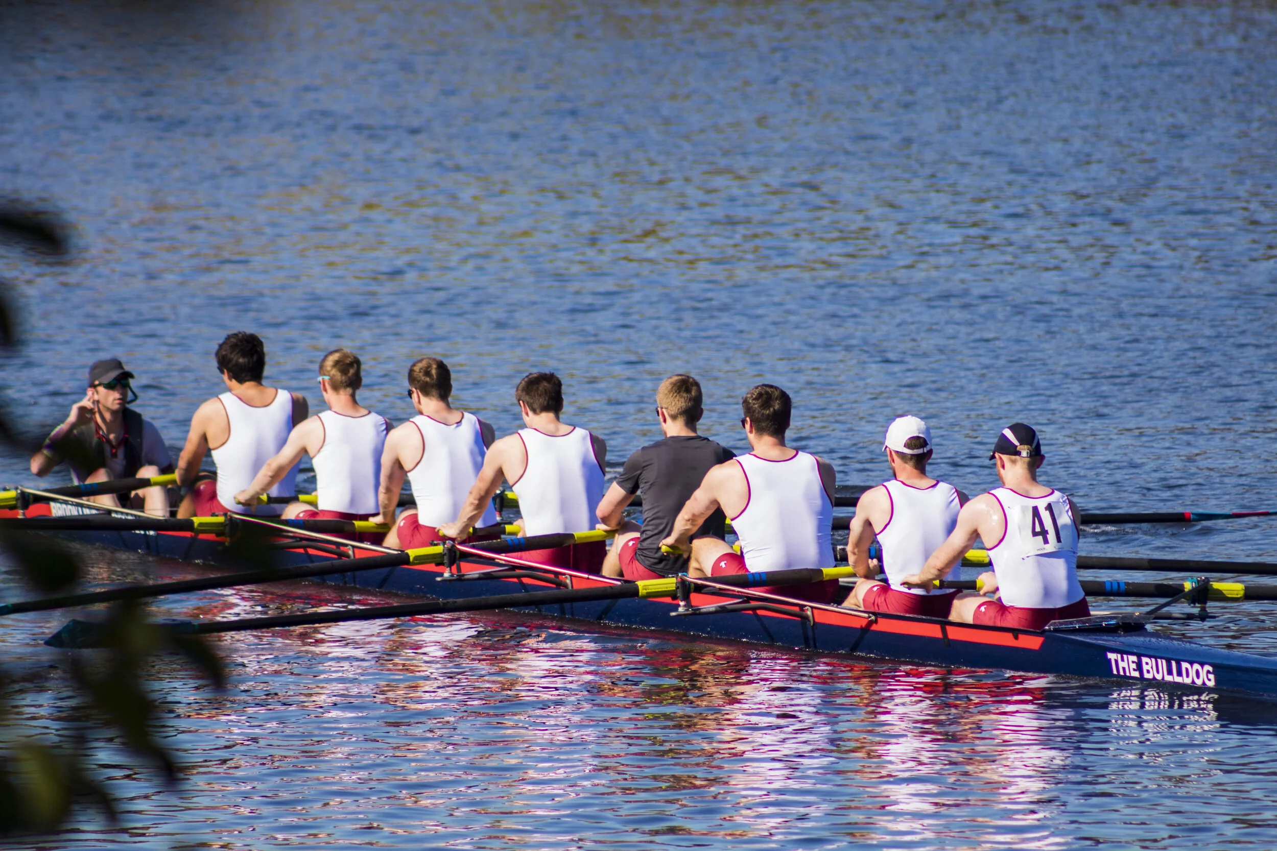 head-of-the-charles-regatta_cambridge_10-21-1762_37607664270_o.jpg
