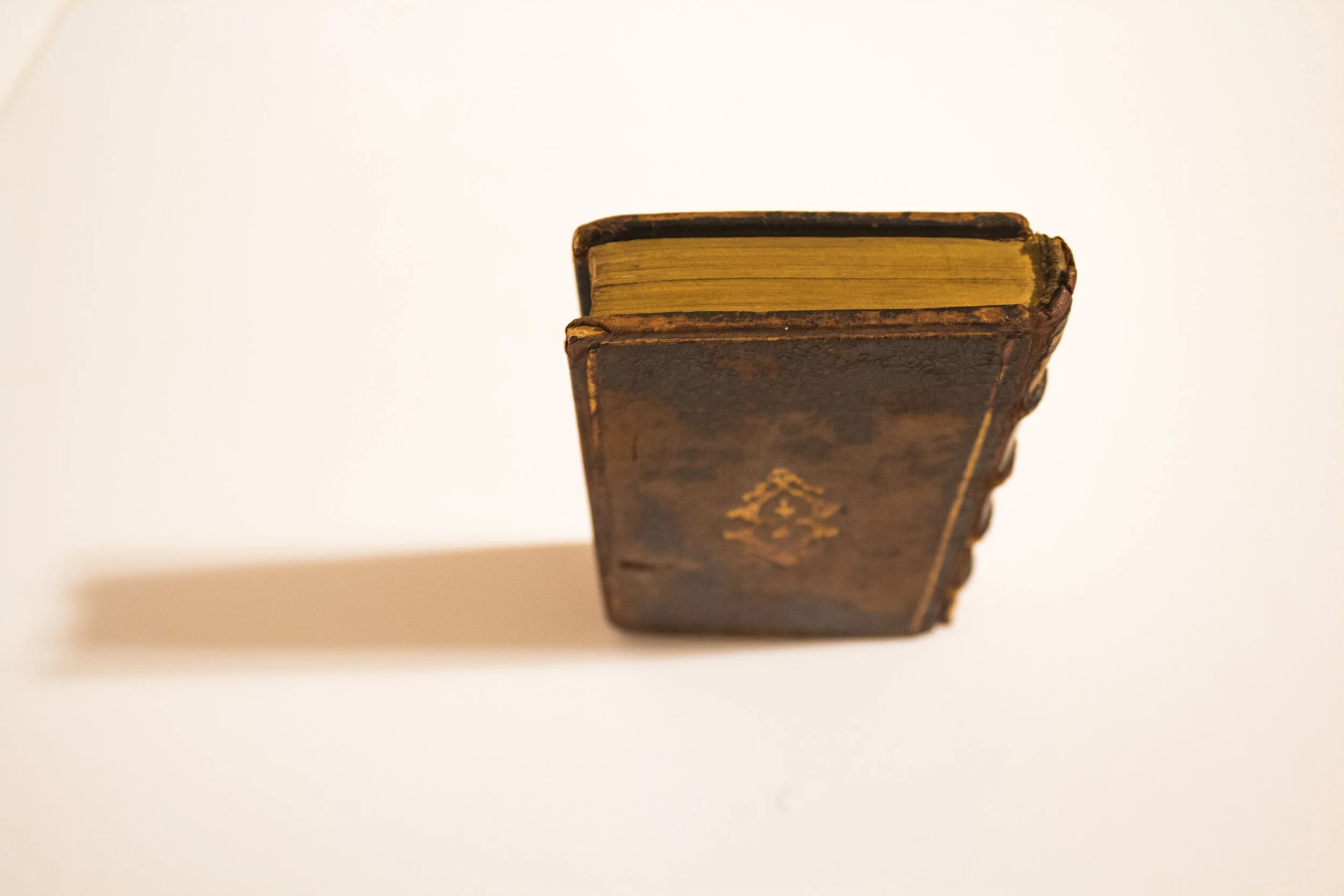 Punica (1551)
by Silius Italicus