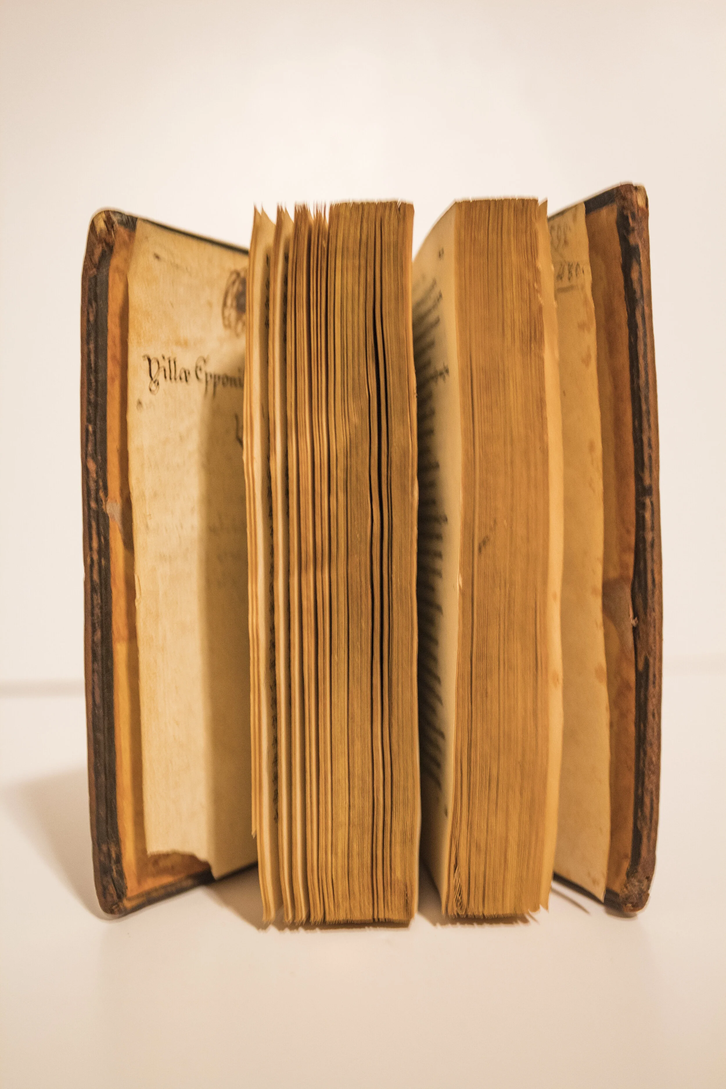 Punica (1551)
by Silius Italicus