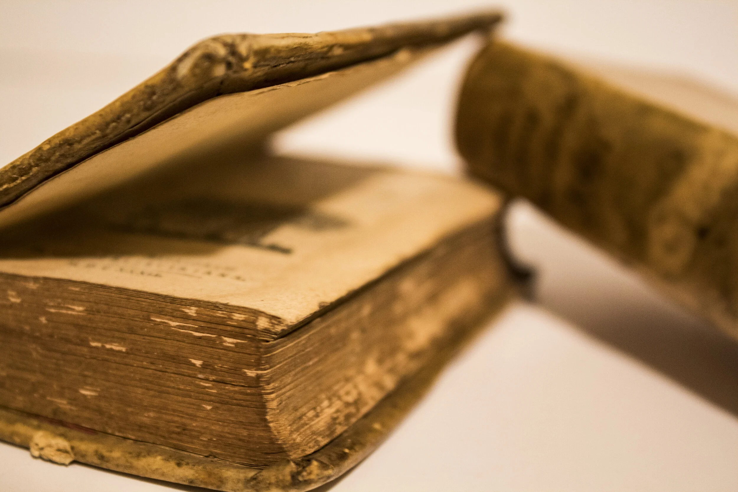 Descriptions of Africa (1632)
by Leo Africanus